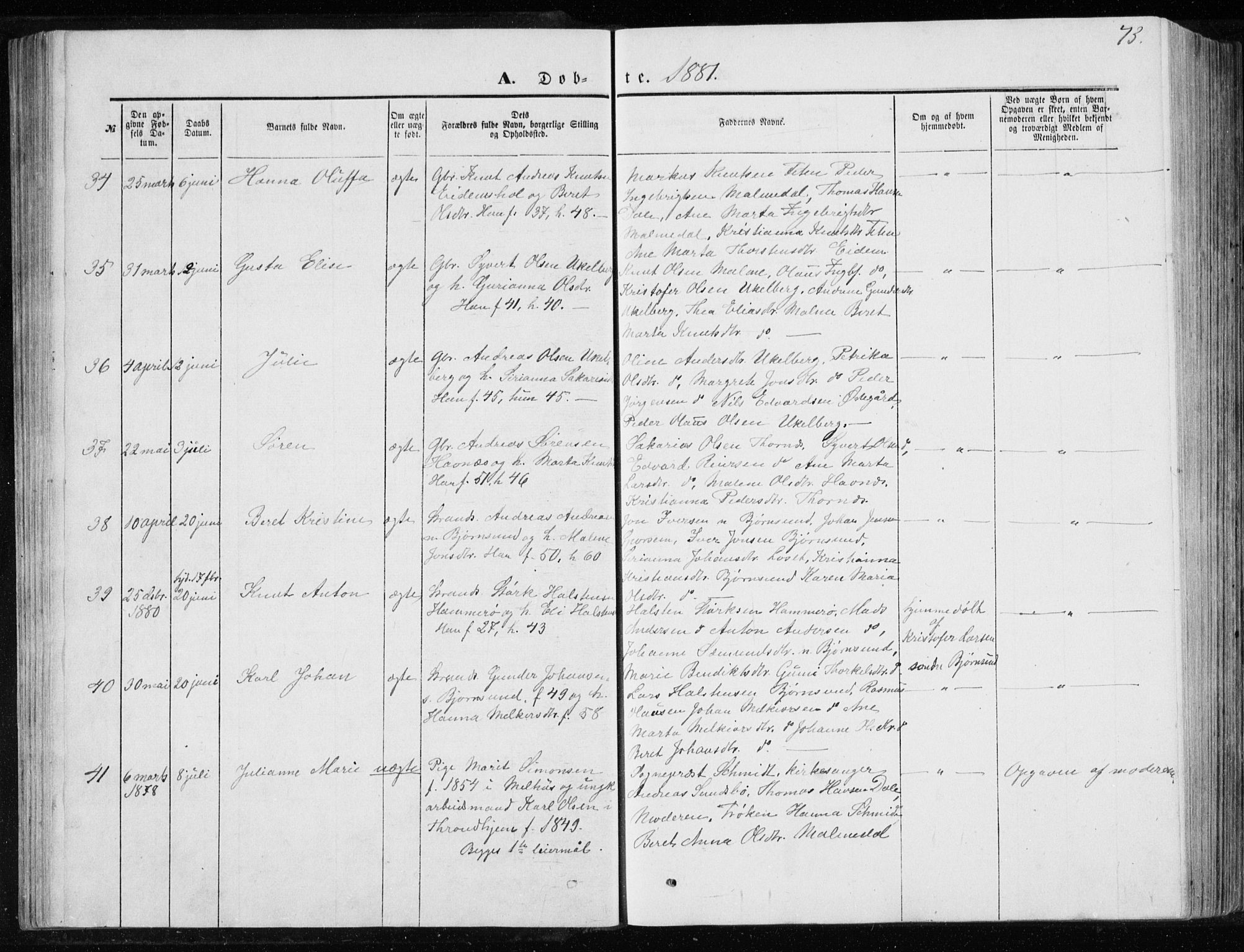 Ministerialprotokoller, klokkerbøker og fødselsregistre - Møre og Romsdal, AV/SAT-A-1454/565/L0754: Parish register (copy) no. 565C03, 1870-1896, p. 73