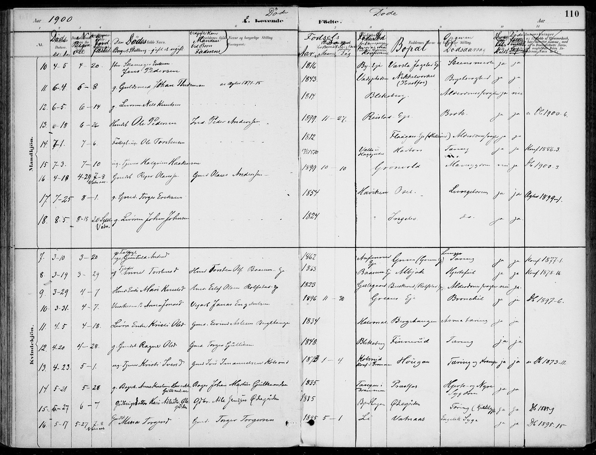 Sigdal kirkebøker, AV/SAKO-A-245/F/Fb/L0001: Parish register (official) no. II 1, 1888-1900, p. 110