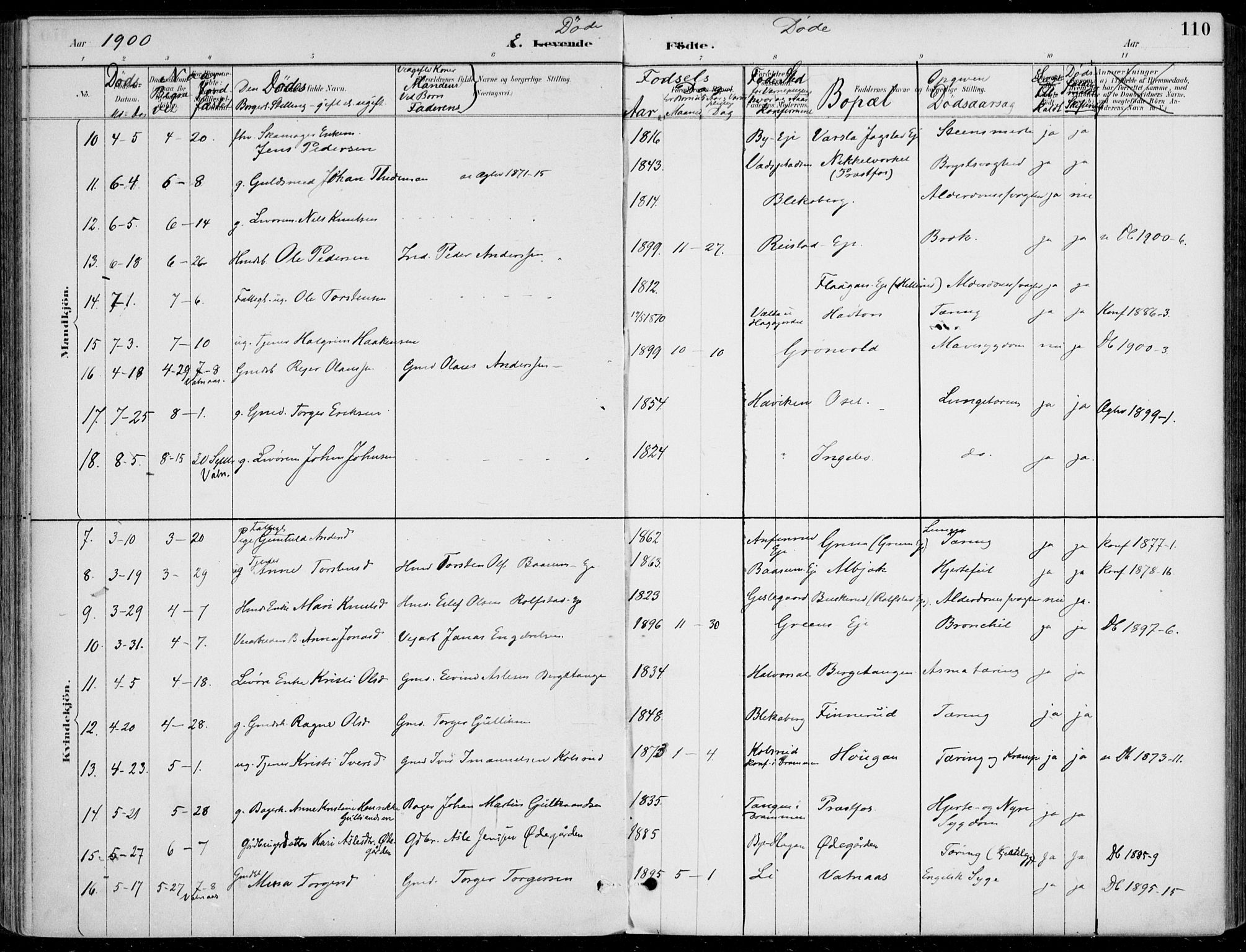 Sigdal kirkebøker, AV/SAKO-A-245/F/Fb/L0001: Parish register (official) no. II 1, 1888-1900, p. 110