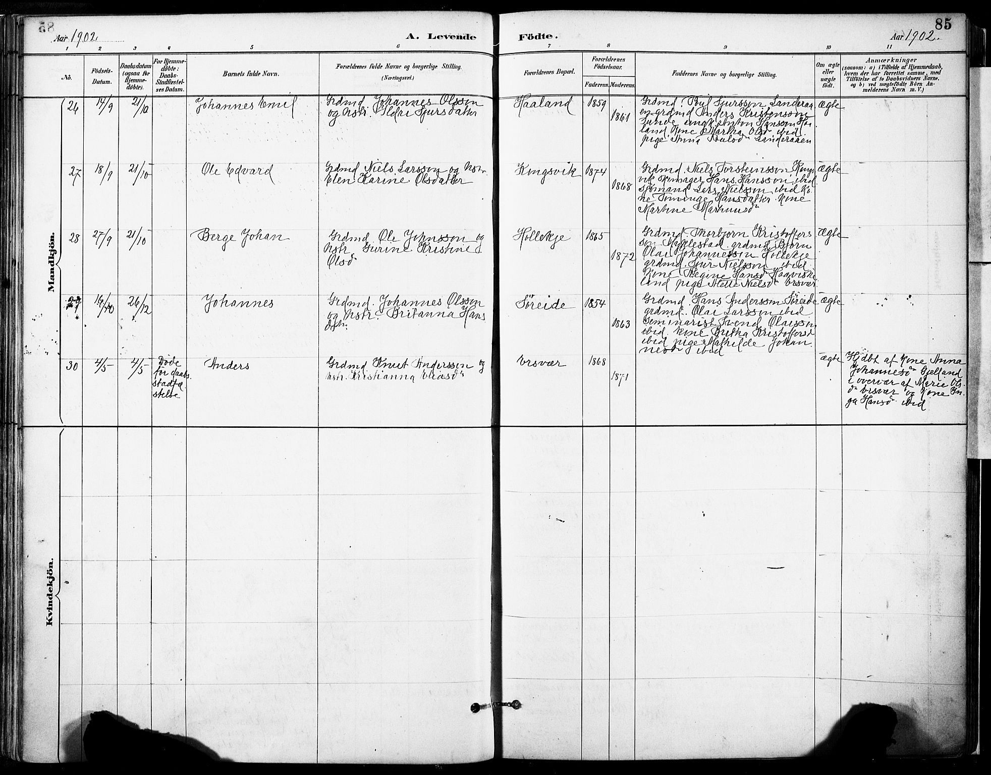 Tysnes sokneprestembete, AV/SAB-A-78601/H/Haa: Parish register (official) no. D 1, 1887-1904, p. 85