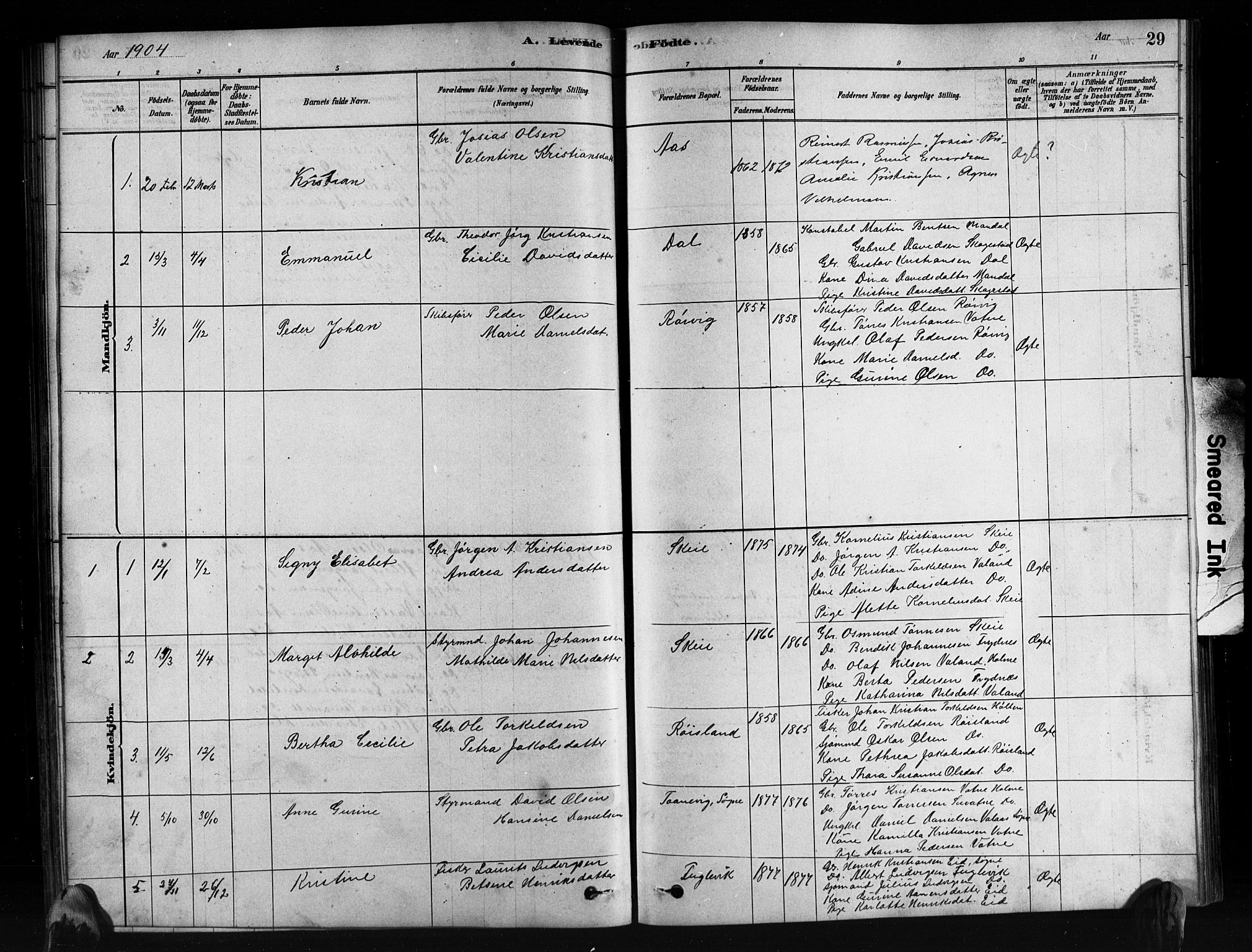 Mandal sokneprestkontor, SAK/1111-0030/F/Fb/Fbb/L0004: Parish register (copy) no. B 4, 1878-1913, p. 29
