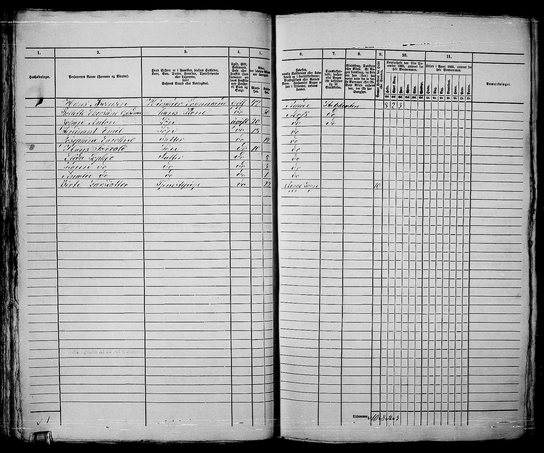 RA, 1865 census for Moss/Moss, 1865, p. 423