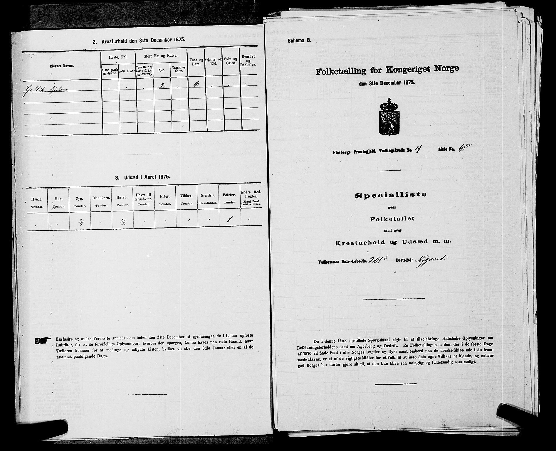 SAKO, 1875 census for 0631P Flesberg, 1875, p. 699