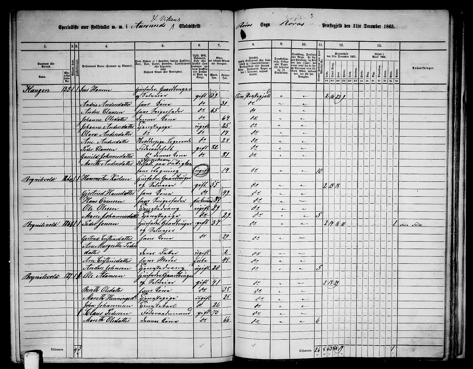 RA, 1865 census for Røros, 1865, p. 121