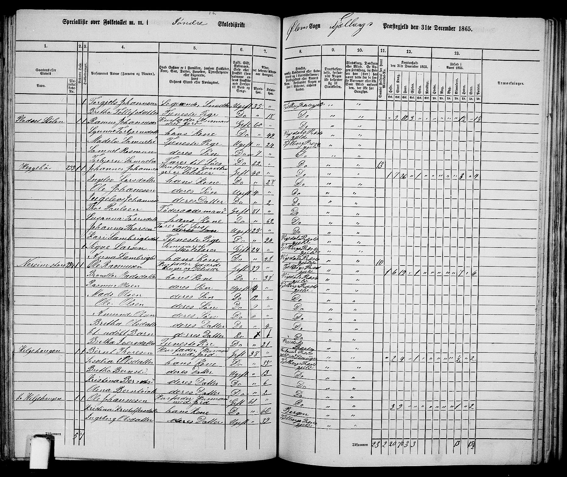 RA, 1865 census for Fjelberg, 1865, p. 133