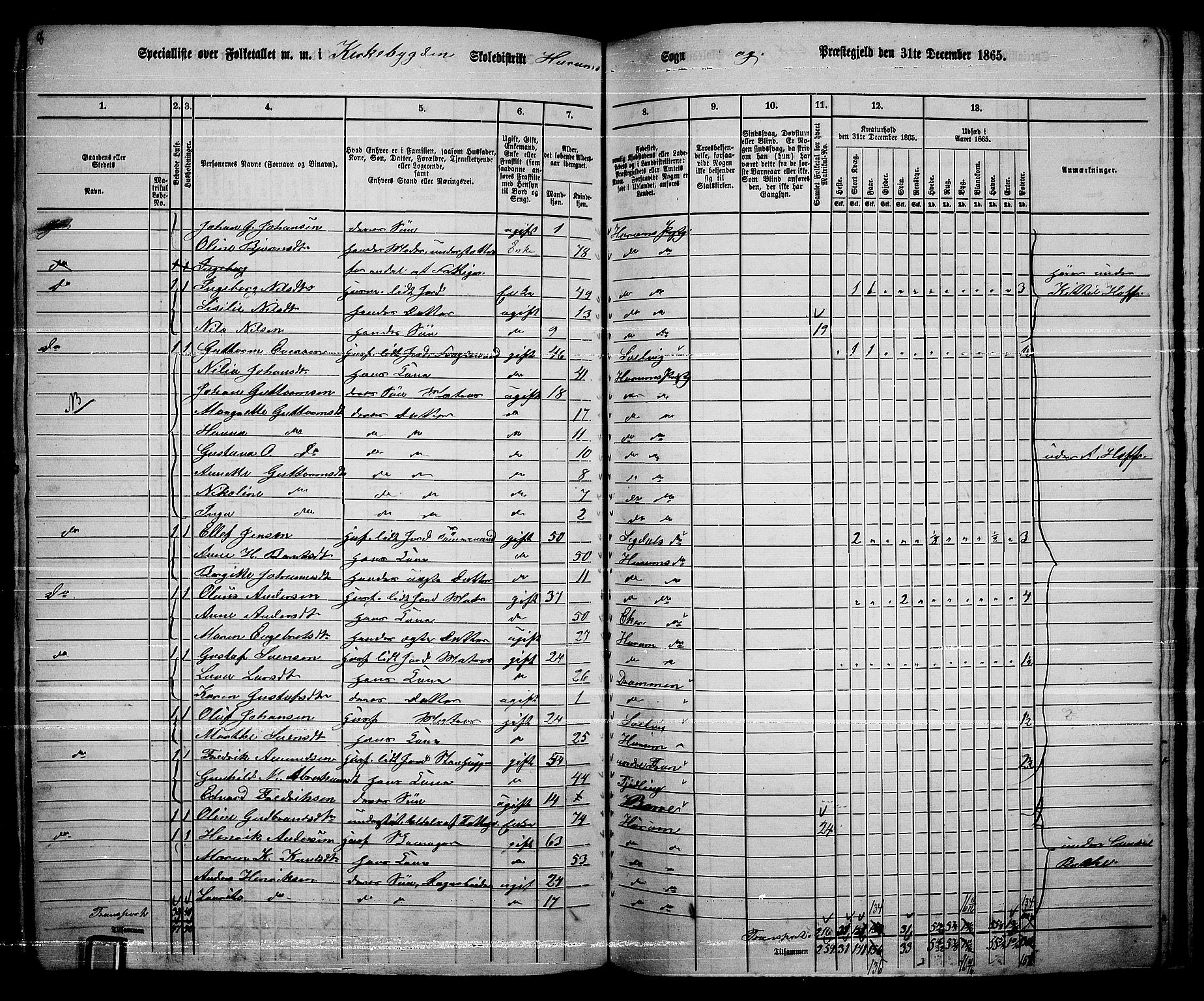 RA, 1865 census for Hurum, 1865, p. 13