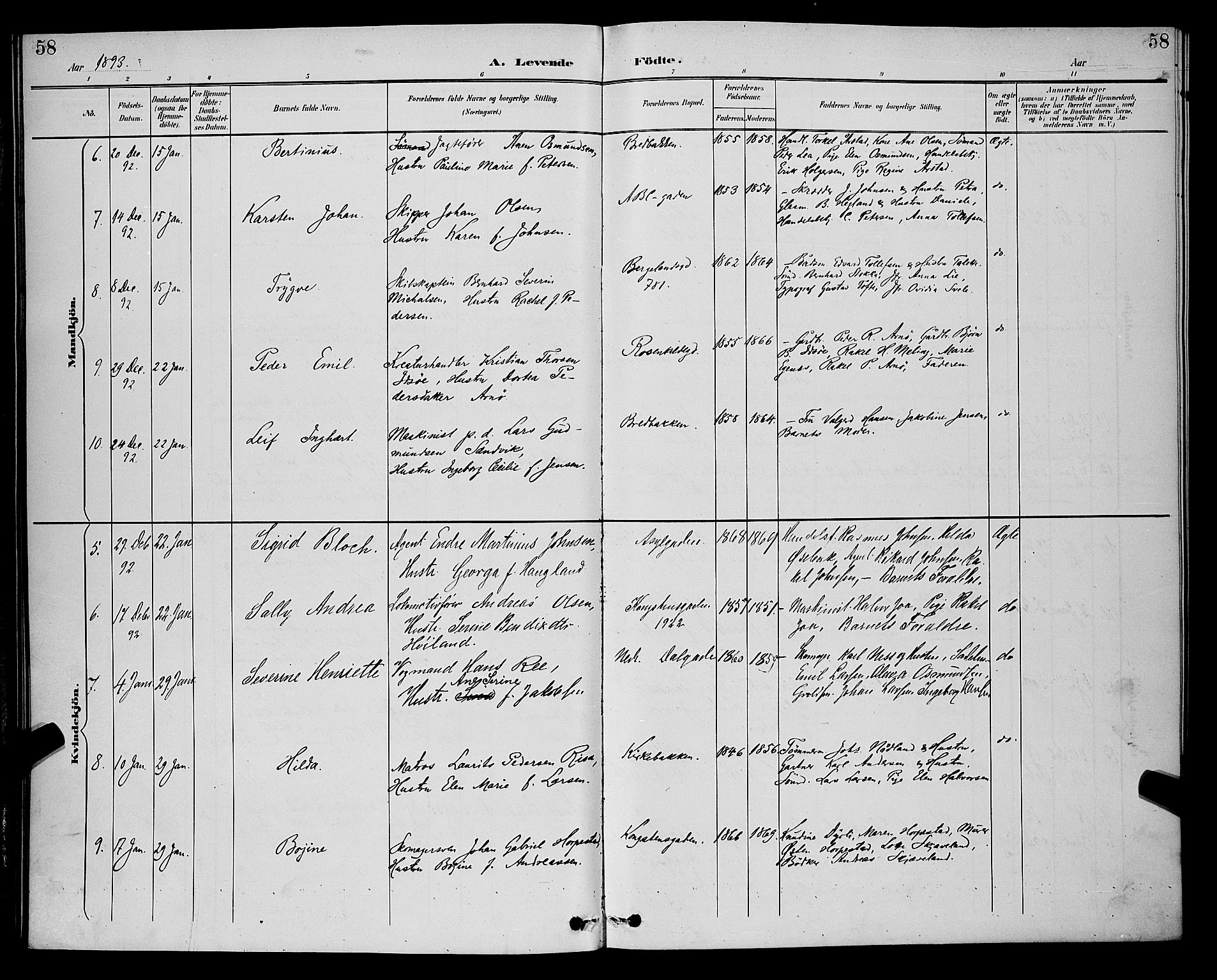 St. Petri sokneprestkontor, SAST/A-101813/001/30/30BB/L0006: Parish register (copy) no. B 6, 1890-1897, p. 58