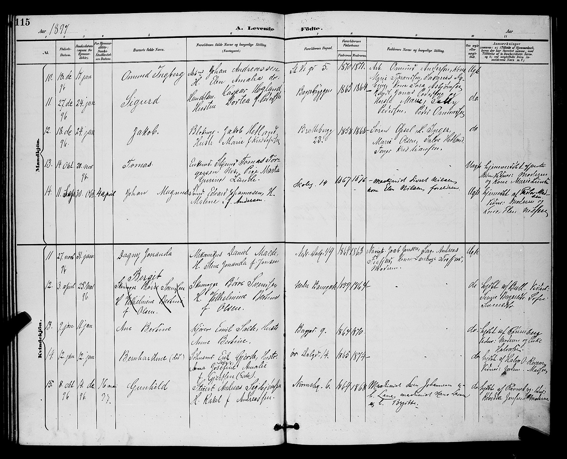St. Johannes sokneprestkontor, AV/SAST-A-101814/001/30/30BB/L0003: Parish register (copy) no. B 3, 1893-1900, p. 115