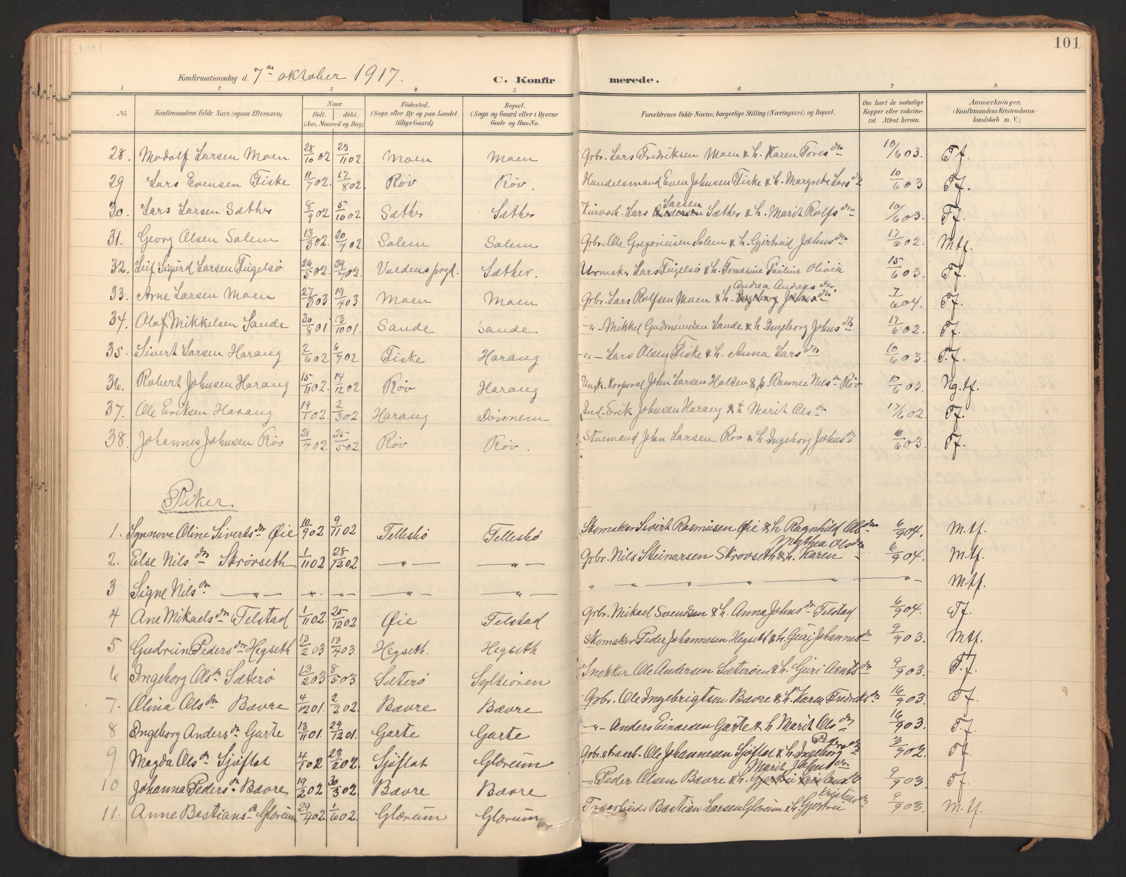 Ministerialprotokoller, klokkerbøker og fødselsregistre - Møre og Romsdal, AV/SAT-A-1454/596/L1057: Parish register (official) no. 596A02, 1900-1917, p. 101