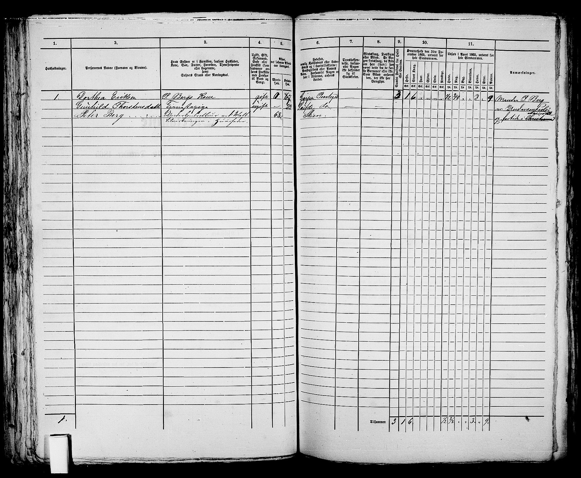 RA, 1865 census for Skien, 1865, p. 170