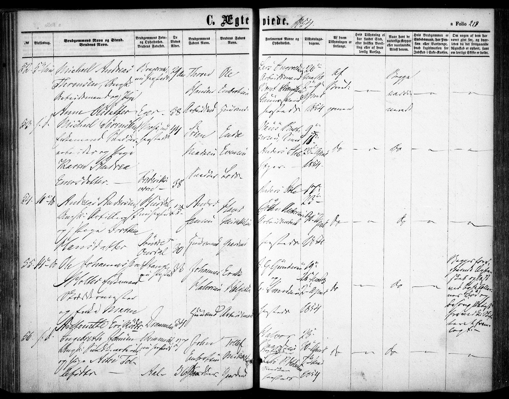 Oslo domkirke Kirkebøker, SAO/A-10752/F/Fa/L0020: Parish register (official) no. 20, 1848-1865, p. 219