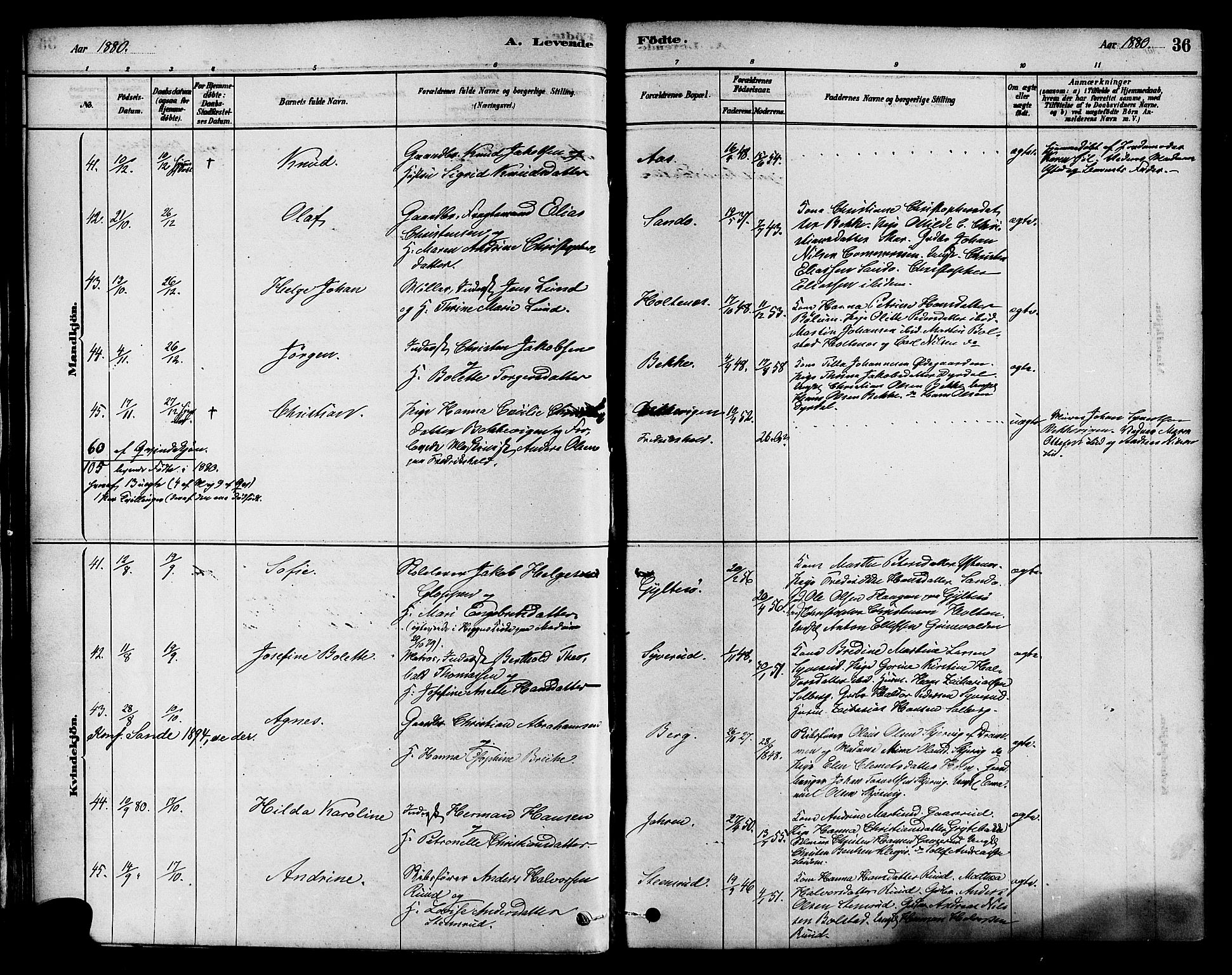 Sande Kirkebøker, AV/SAKO-A-53/F/Fa/L0006: Parish register (official) no. 6, 1878-1888, p. 36