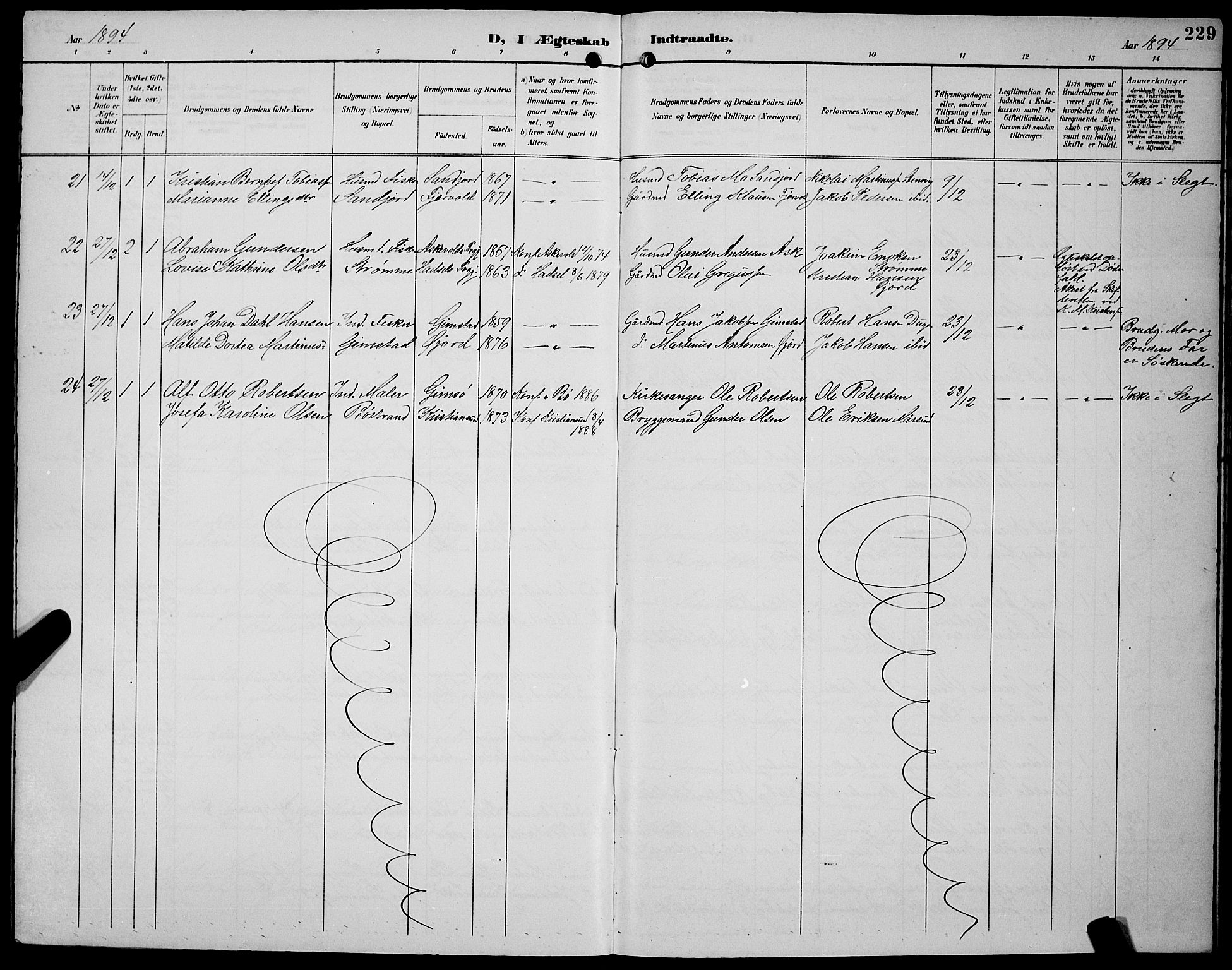 Ministerialprotokoller, klokkerbøker og fødselsregistre - Nordland, AV/SAT-A-1459/891/L1316: Parish register (copy) no. 891C05, 1894-1898, p. 229