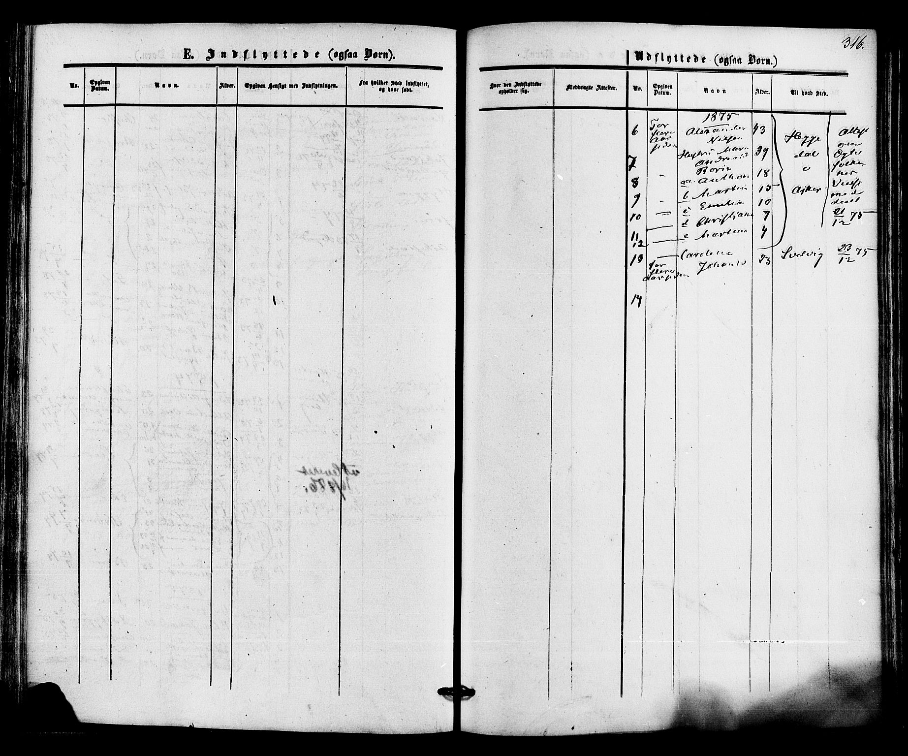 Røyken kirkebøker, AV/SAKO-A-241/F/Fa/L0006: Parish register (official) no. 6, 1857-1875, p. 316