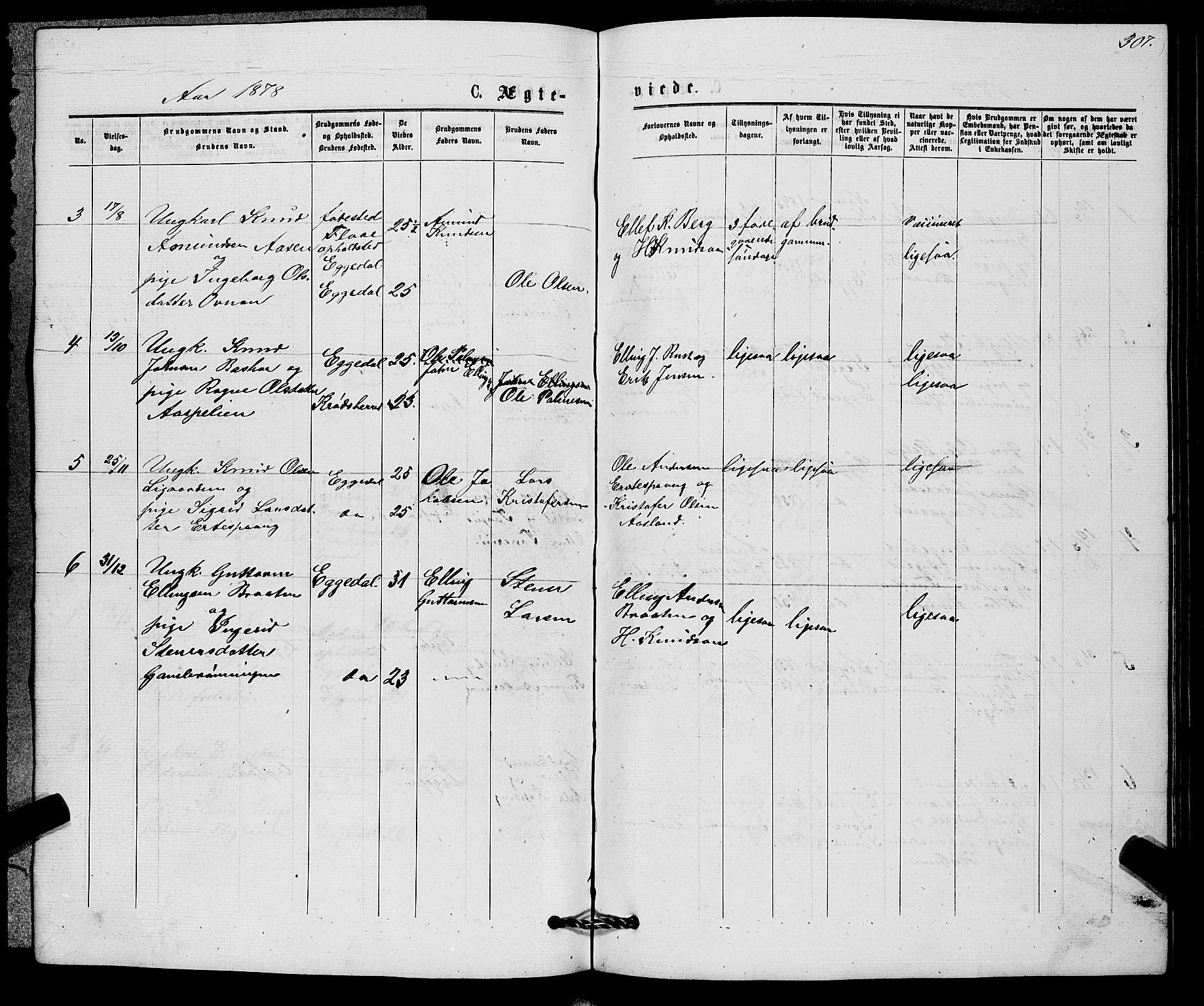 Sigdal kirkebøker, AV/SAKO-A-245/G/Gb/L0002: Parish register (copy) no. II 2, 1875-1900, p. 307