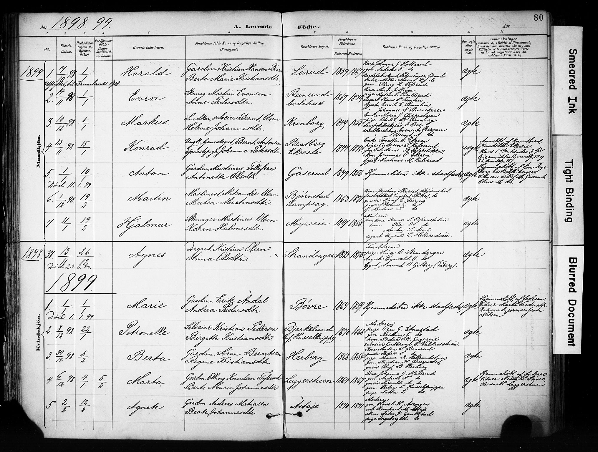 Biri prestekontor, SAH/PREST-096/H/Ha/Haa/L0009: Parish register (official) no. 9, 1887-1900, p. 80