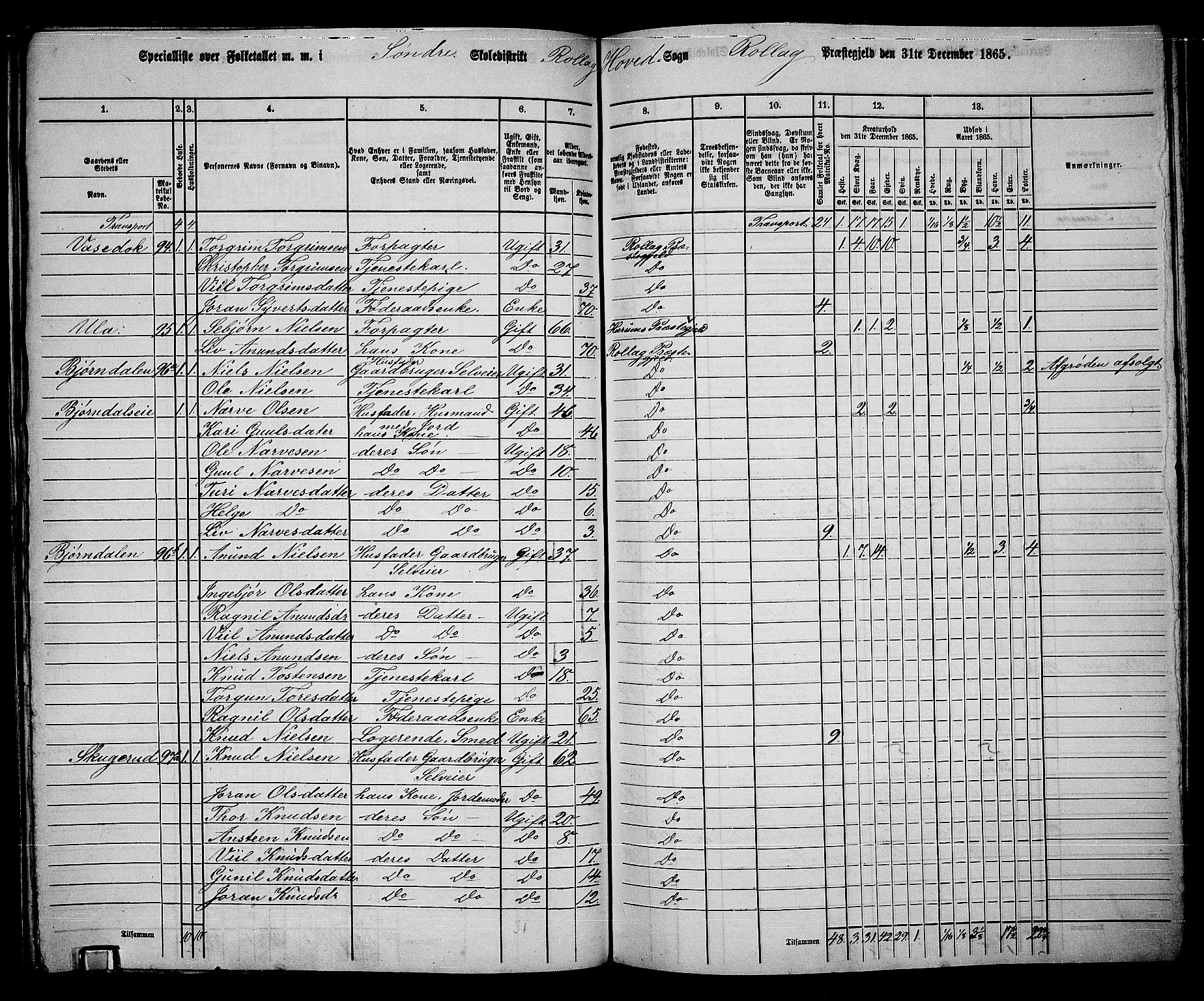RA, 1865 census for Rollag, 1865, p. 8