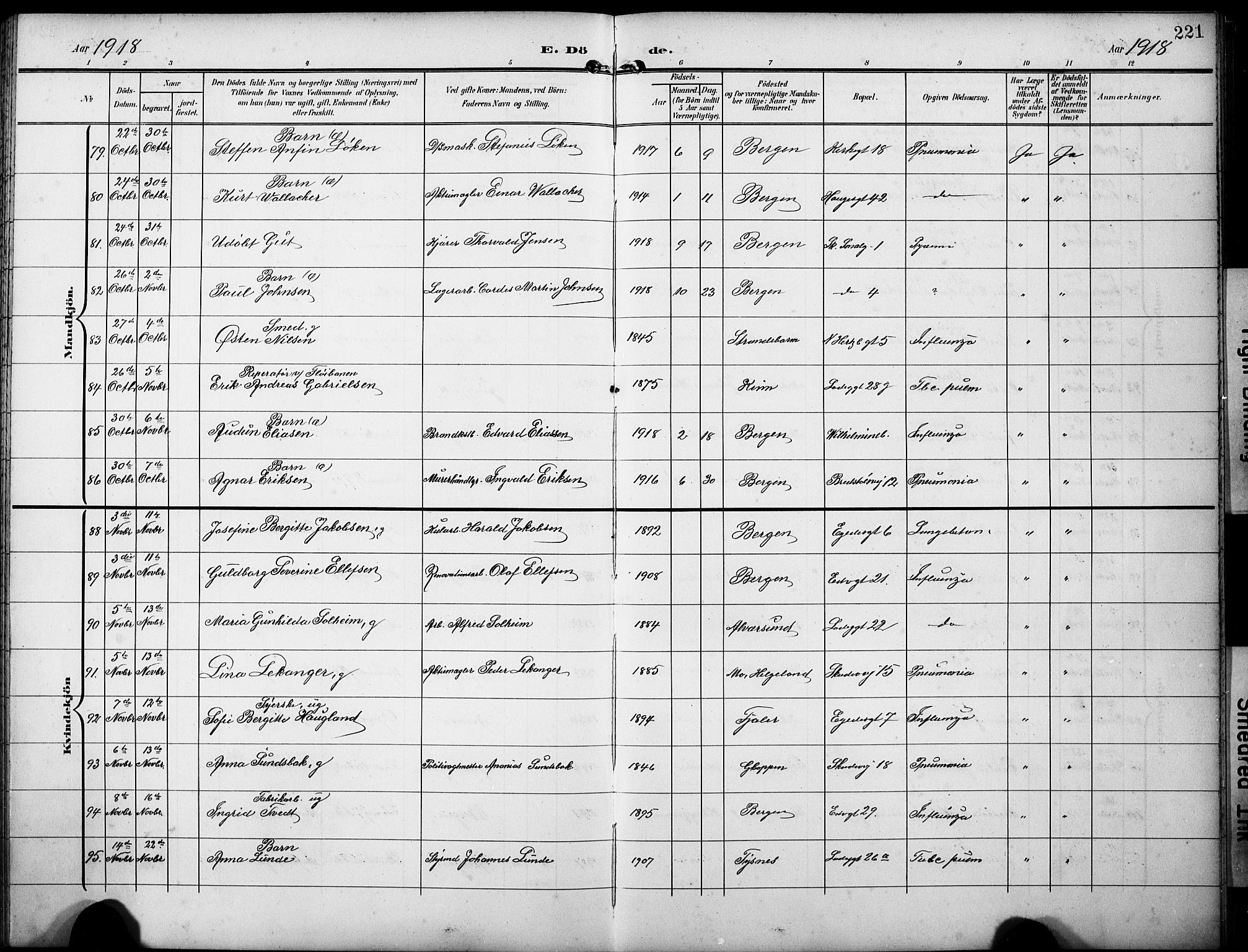 Sandviken Sokneprestembete, AV/SAB-A-77601/H/Hb/L0017: Parish register (copy) no. E 1, 1903-1926, p. 221