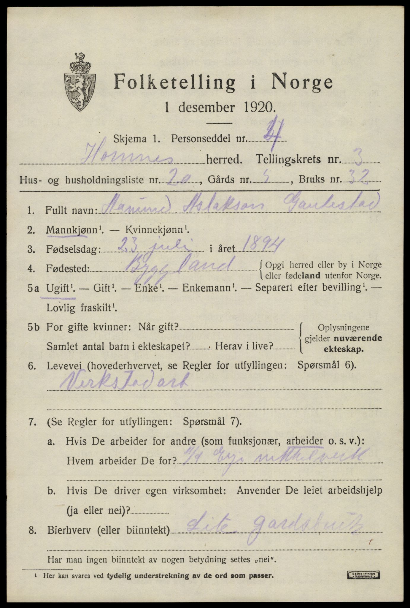 SAK, 1920 census for Hornnes, 1920, p. 1043