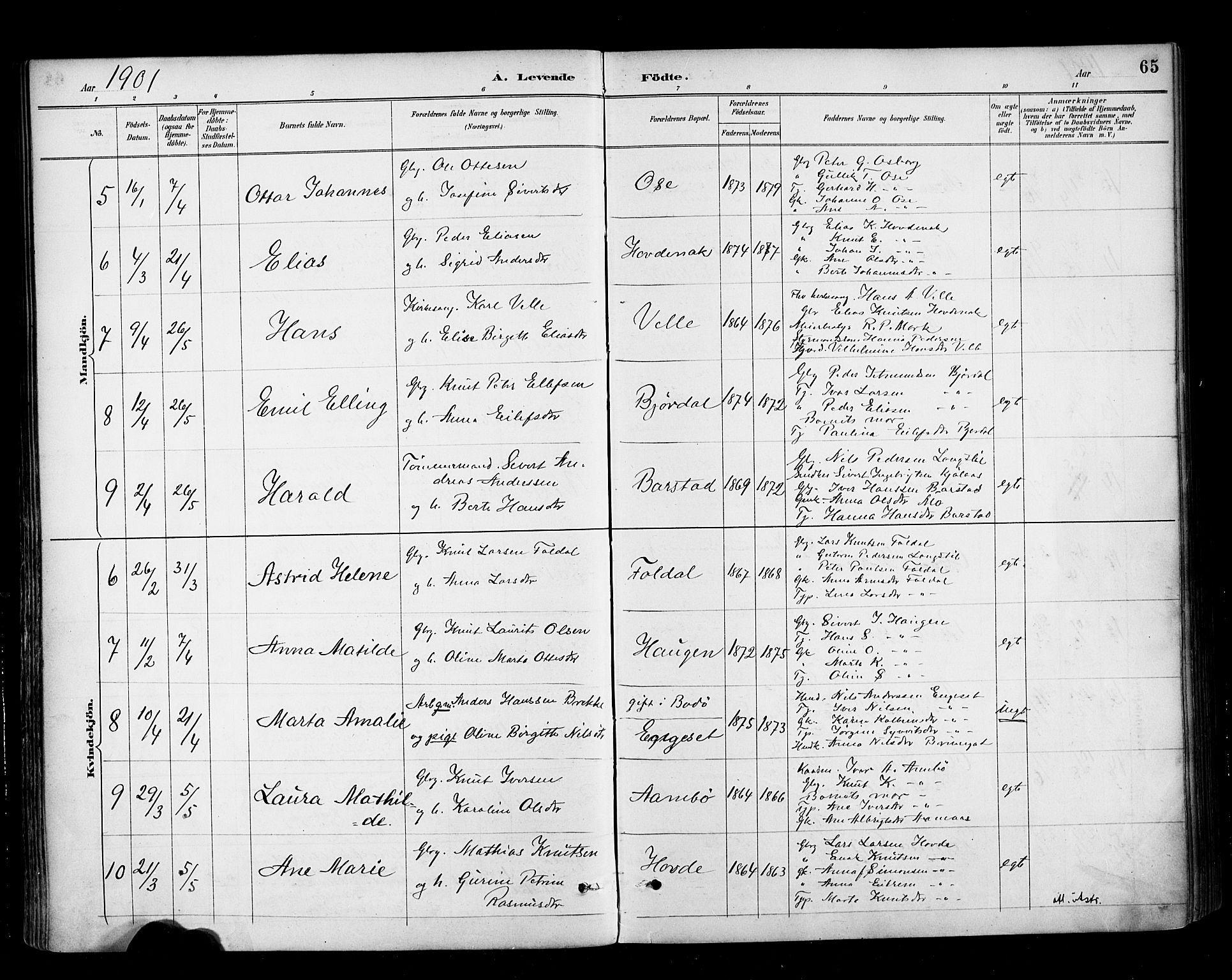 Ministerialprotokoller, klokkerbøker og fødselsregistre - Møre og Romsdal, AV/SAT-A-1454/513/L0177: Parish register (official) no. 513A04, 1890-1906, p. 65