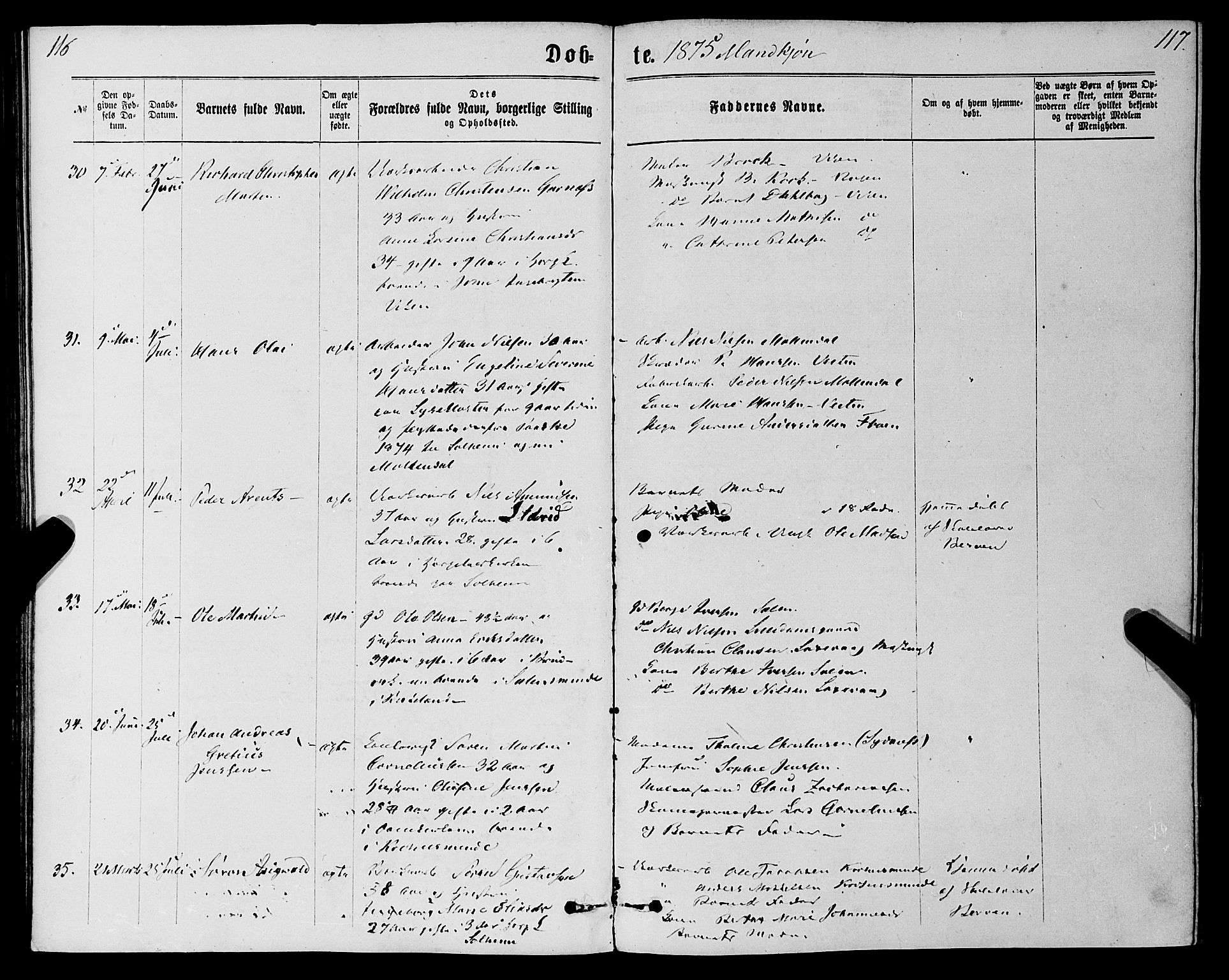 St. Jørgens hospital og Årstad sokneprestembete, AV/SAB-A-99934: Parish register (official) no. A 6, 1870-1878, p. 116-117