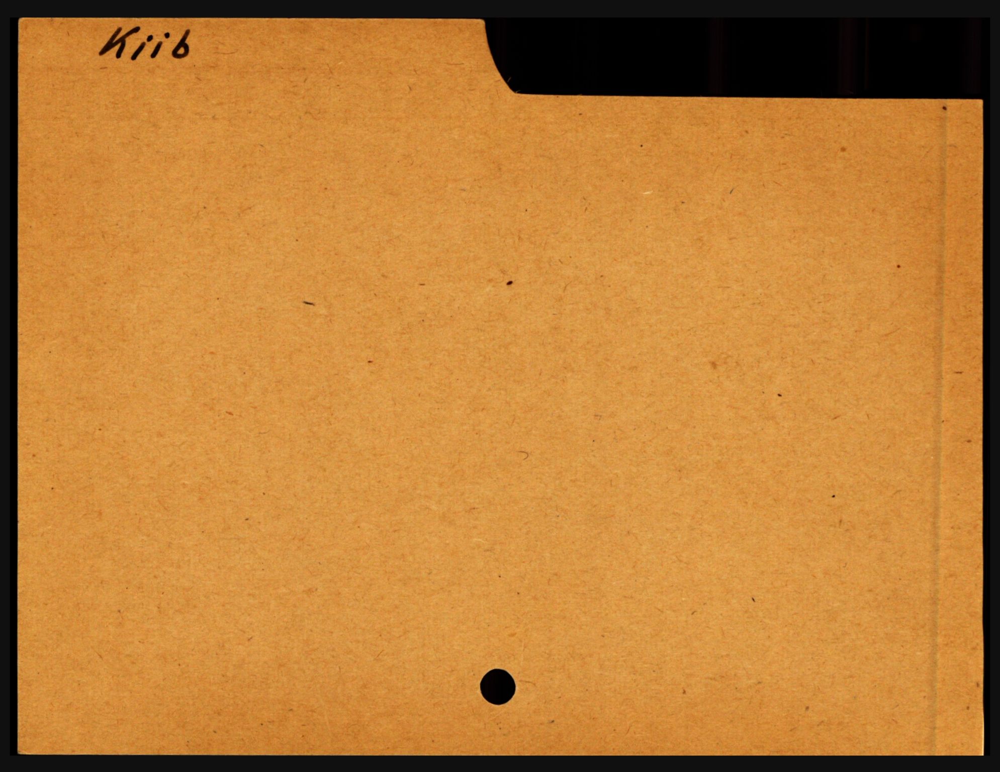 Nedenes sorenskriveri før 1824, SAK/1221-0007/H, p. 14559