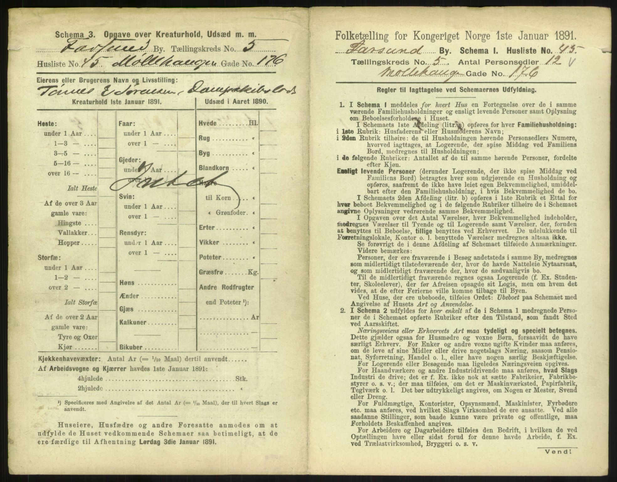 RA, 1891 census for 1003 Farsund, 1891, p. 504