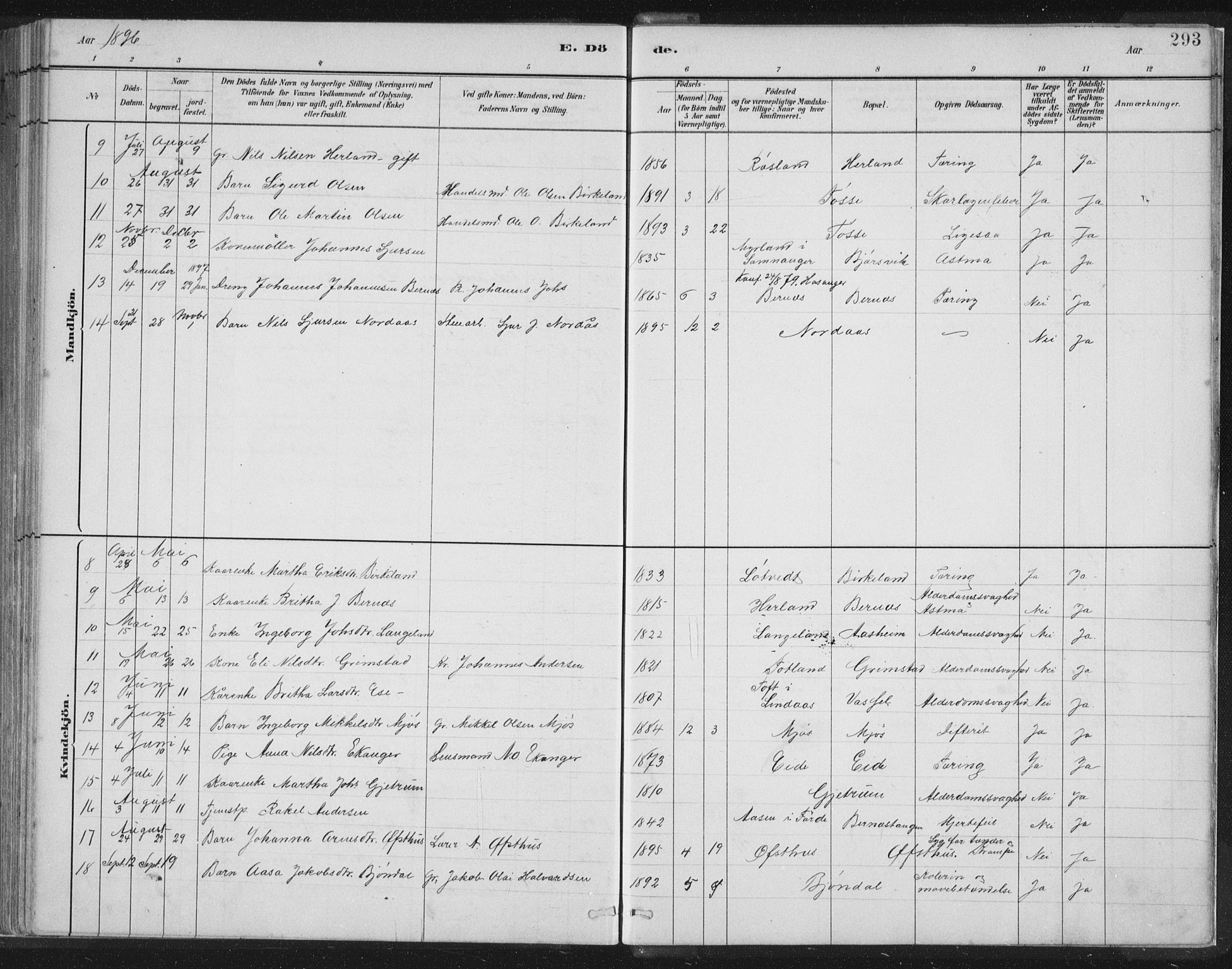 Hosanger sokneprestembete, SAB/A-75801/H/Hab: Parish register (copy) no. A 3 II, 1882-1903, p. 293