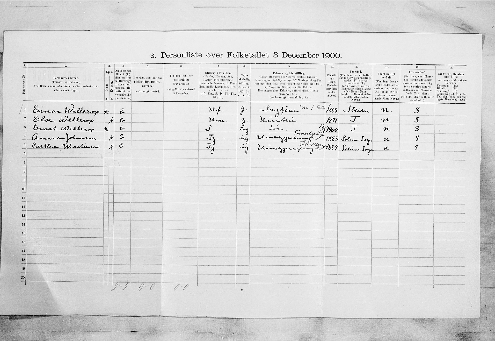 SAKO, 1900 census for Porsgrunn, 1900, p. 1246