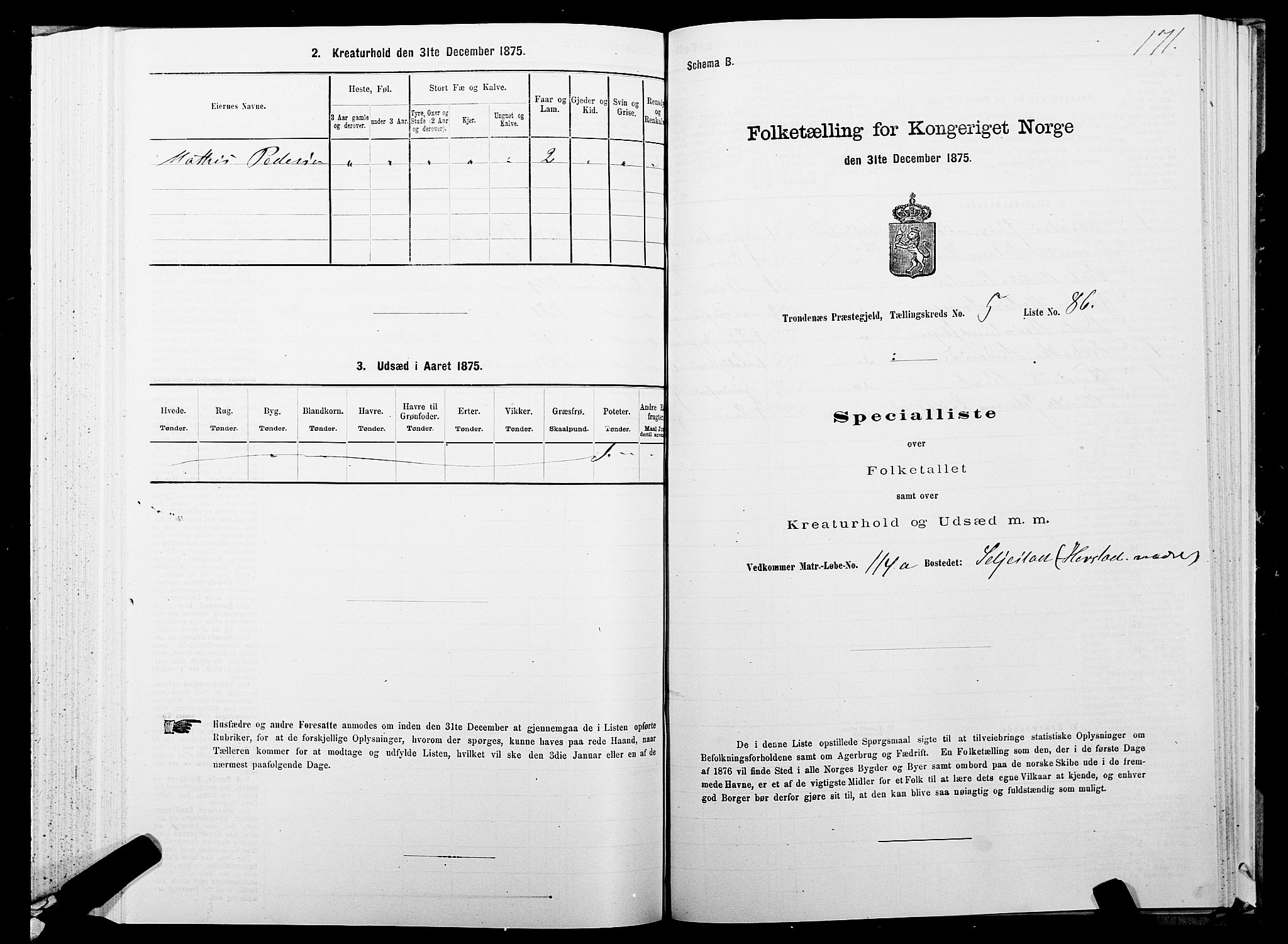 SATØ, 1875 census for 1914P Trondenes, 1875, p. 5171