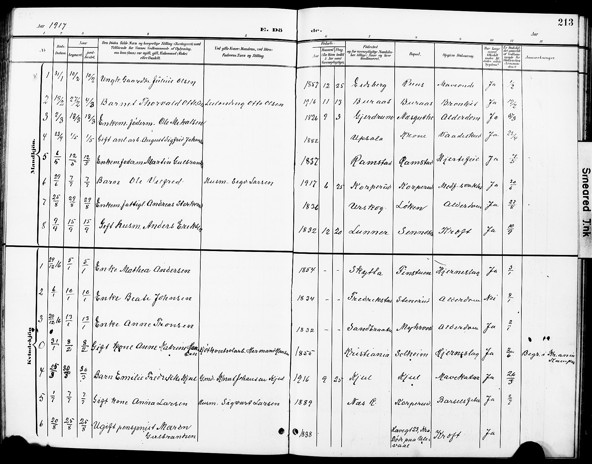 Nittedal prestekontor Kirkebøker, SAO/A-10365a/G/Ga/L0003: Parish register (copy) no. I 3, 1902-1929, p. 213