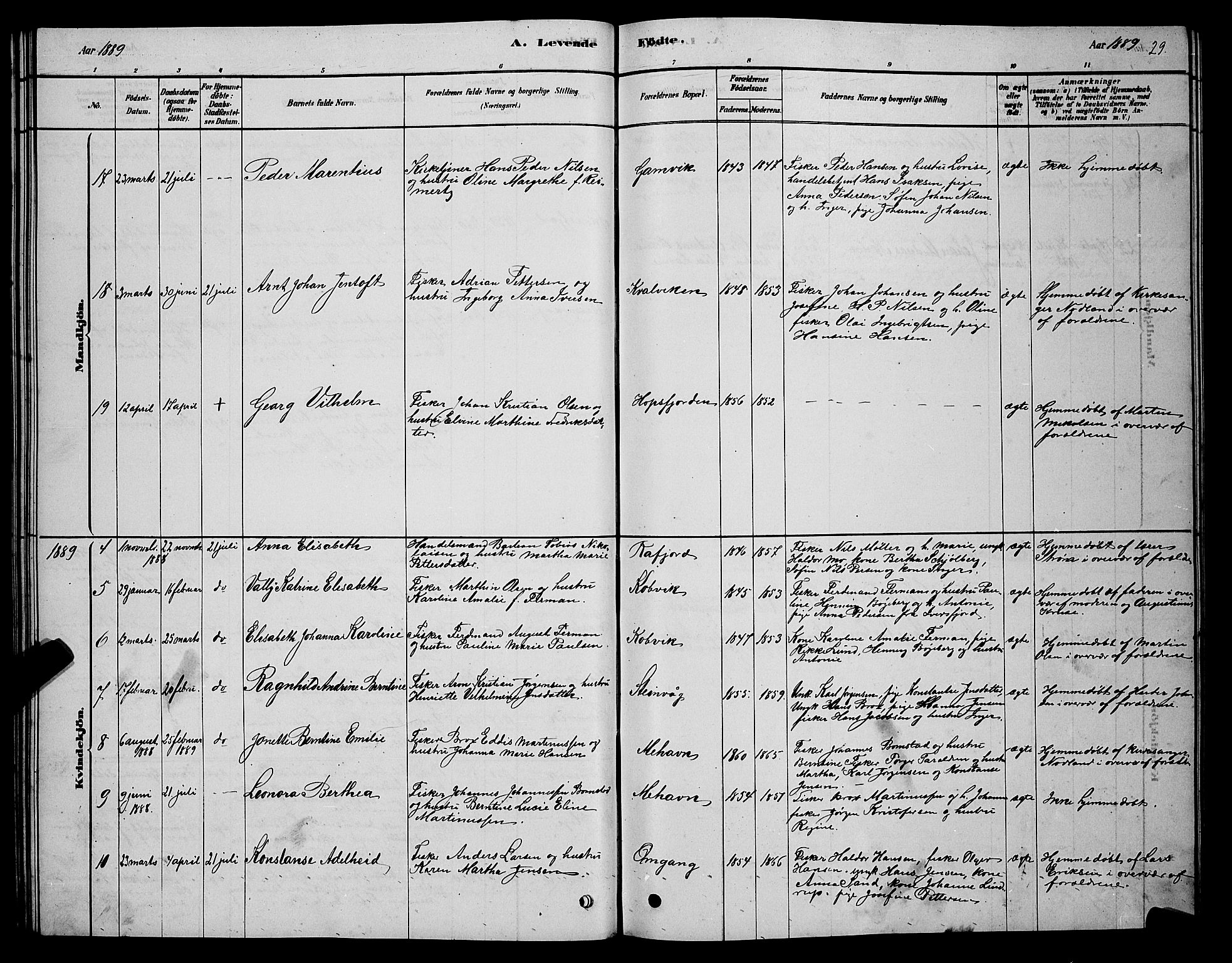 Tana sokneprestkontor, SATØ/S-1334/H/Hb/L0005klokker: Parish register (copy) no. 5, 1878-1891, p. 29