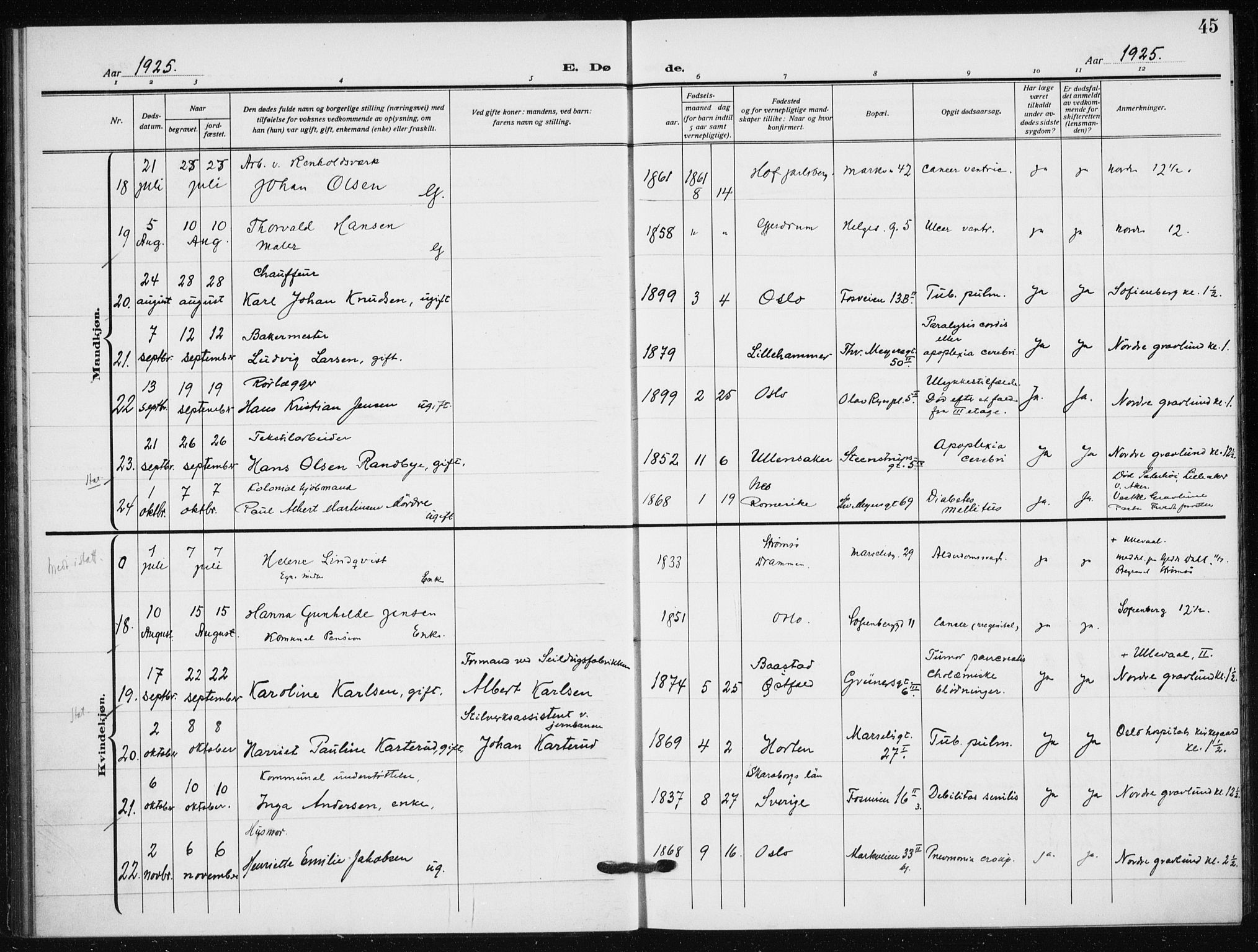 Hauge prestekontor Kirkebøker, AV/SAO-A-10849/F/Fa/L0005: Parish register (official) no. 5, 1917-1938, p. 45