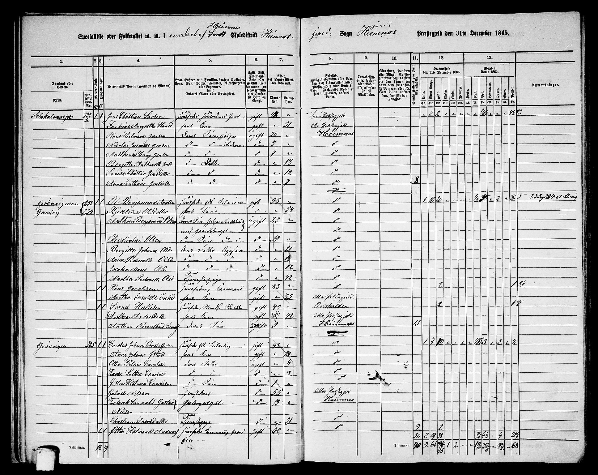 RA, 1865 census for Hemnes, 1865, p. 37