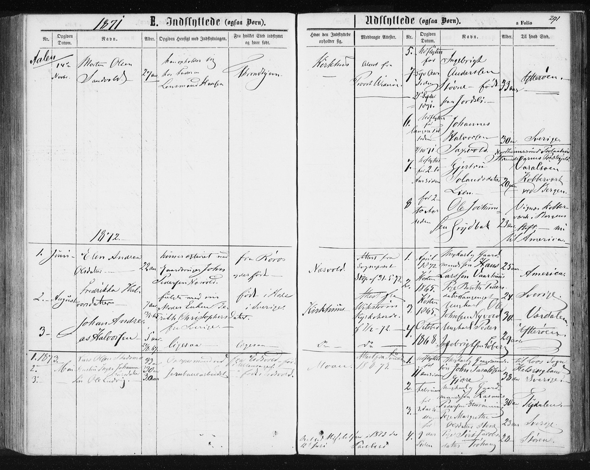Ministerialprotokoller, klokkerbøker og fødselsregistre - Sør-Trøndelag, SAT/A-1456/685/L0971: Parish register (official) no. 685A08 /3, 1870-1879, p. 291