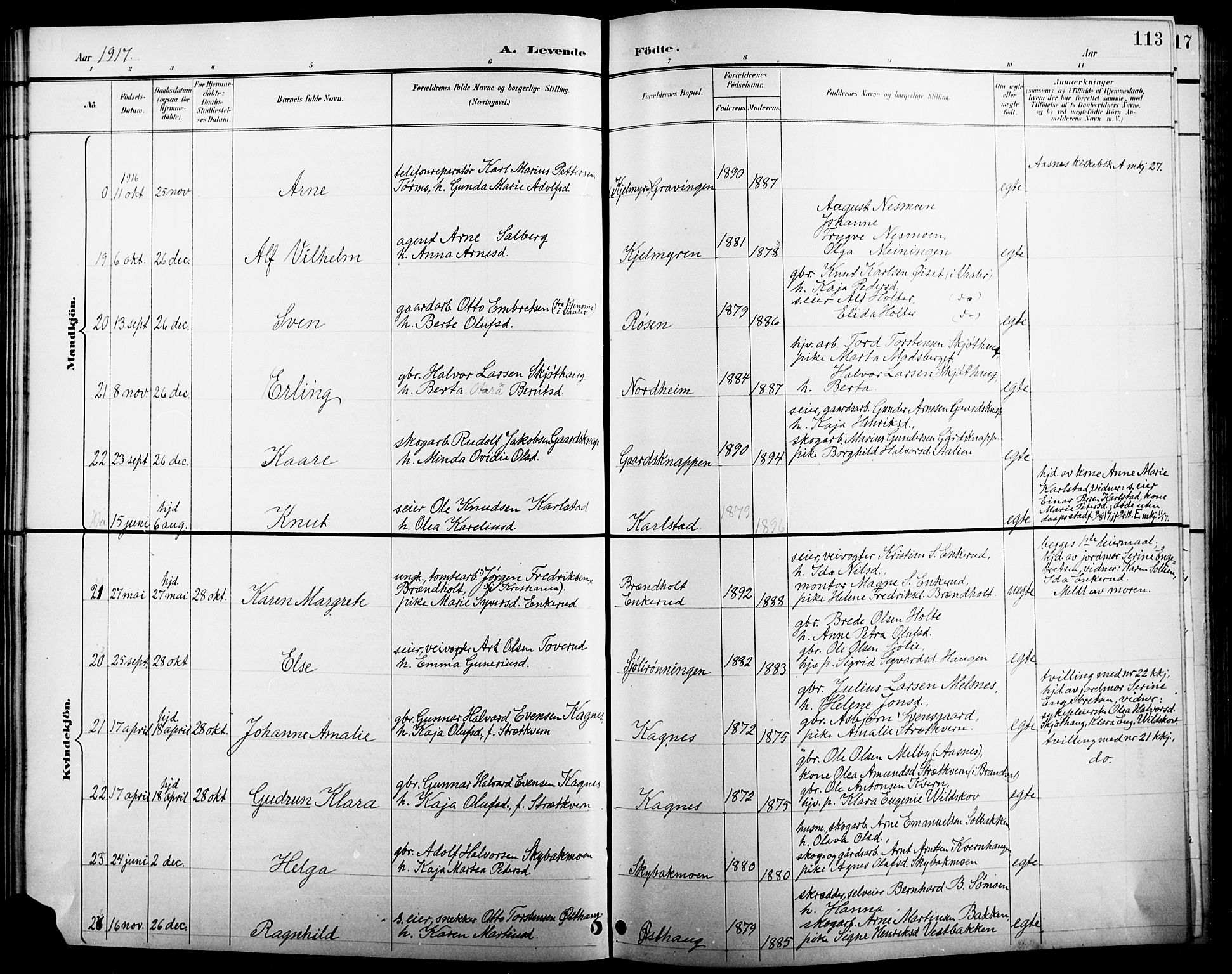 Åsnes prestekontor, AV/SAH-PREST-042/H/Ha/Hab/L0005: Parish register (copy) no. 5, 1895-1920, p. 113