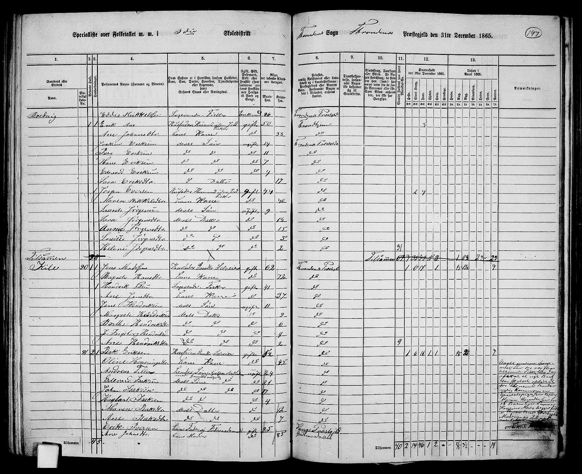RA, 1865 census for Trondenes, 1865, p. 85