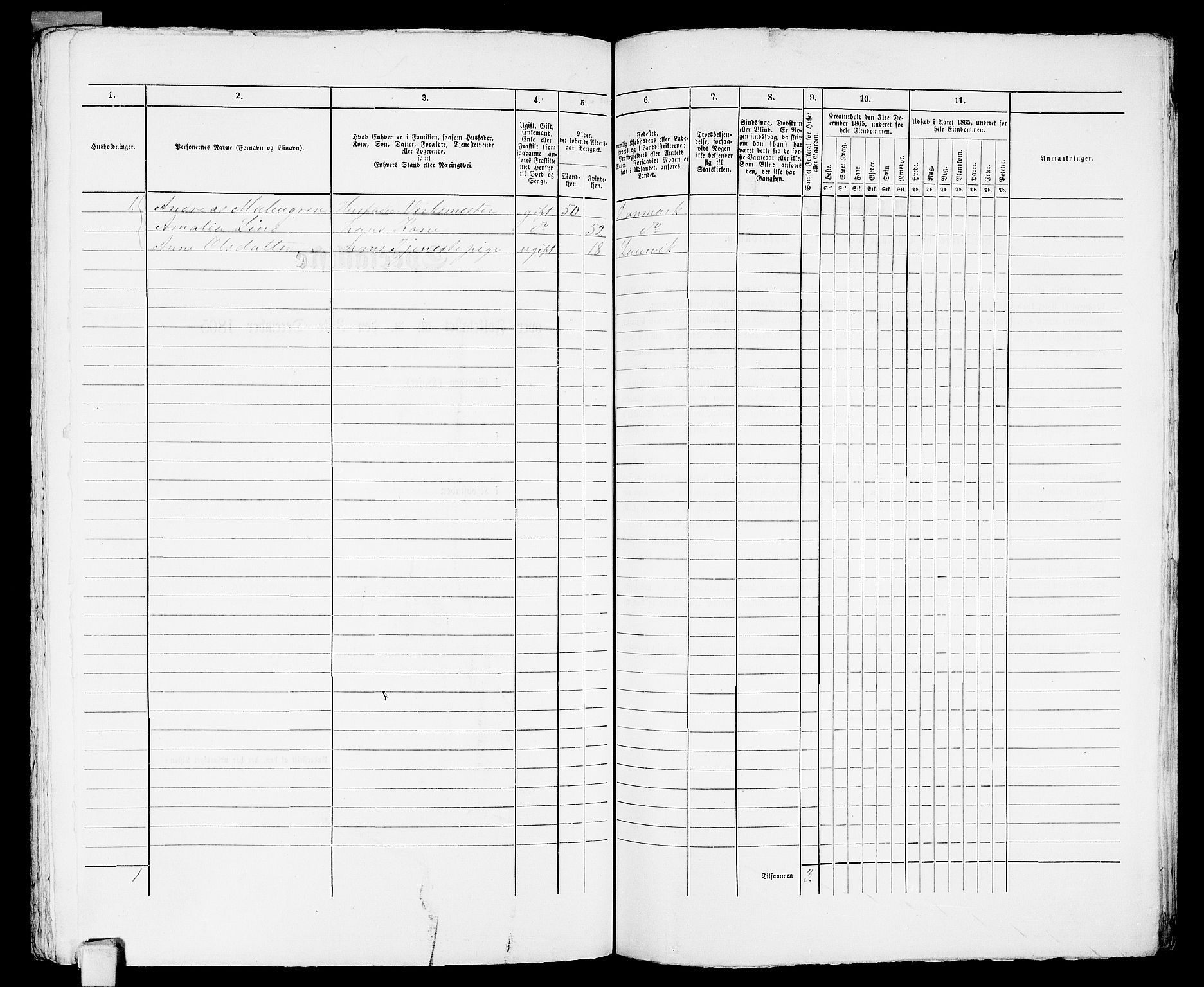 RA, 1865 census for Larvik, 1865, p. 1147