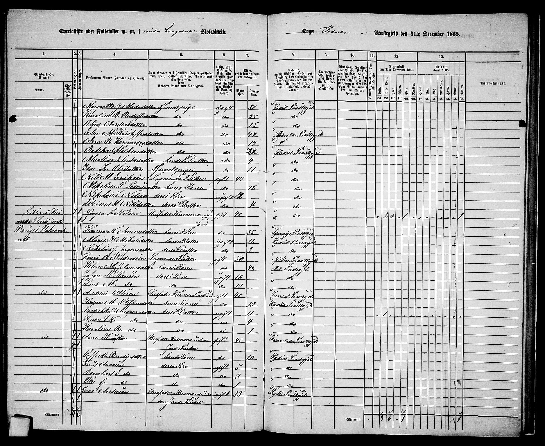 RA, 1865 census for Hadsel, 1865, p. 158