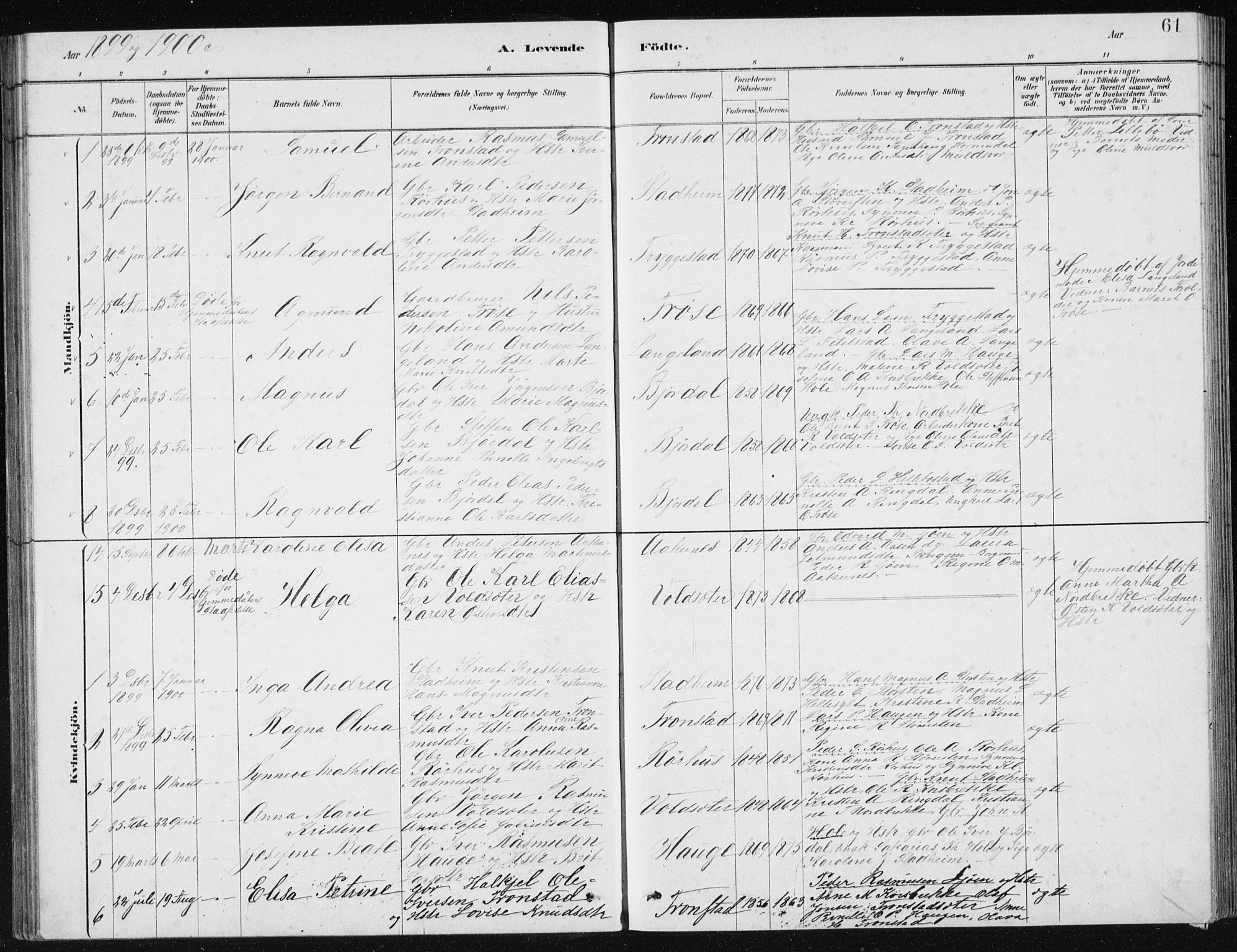 Ministerialprotokoller, klokkerbøker og fødselsregistre - Møre og Romsdal, SAT/A-1454/517/L0230: Parish register (copy) no. 517C03, 1879-1912, p. 61