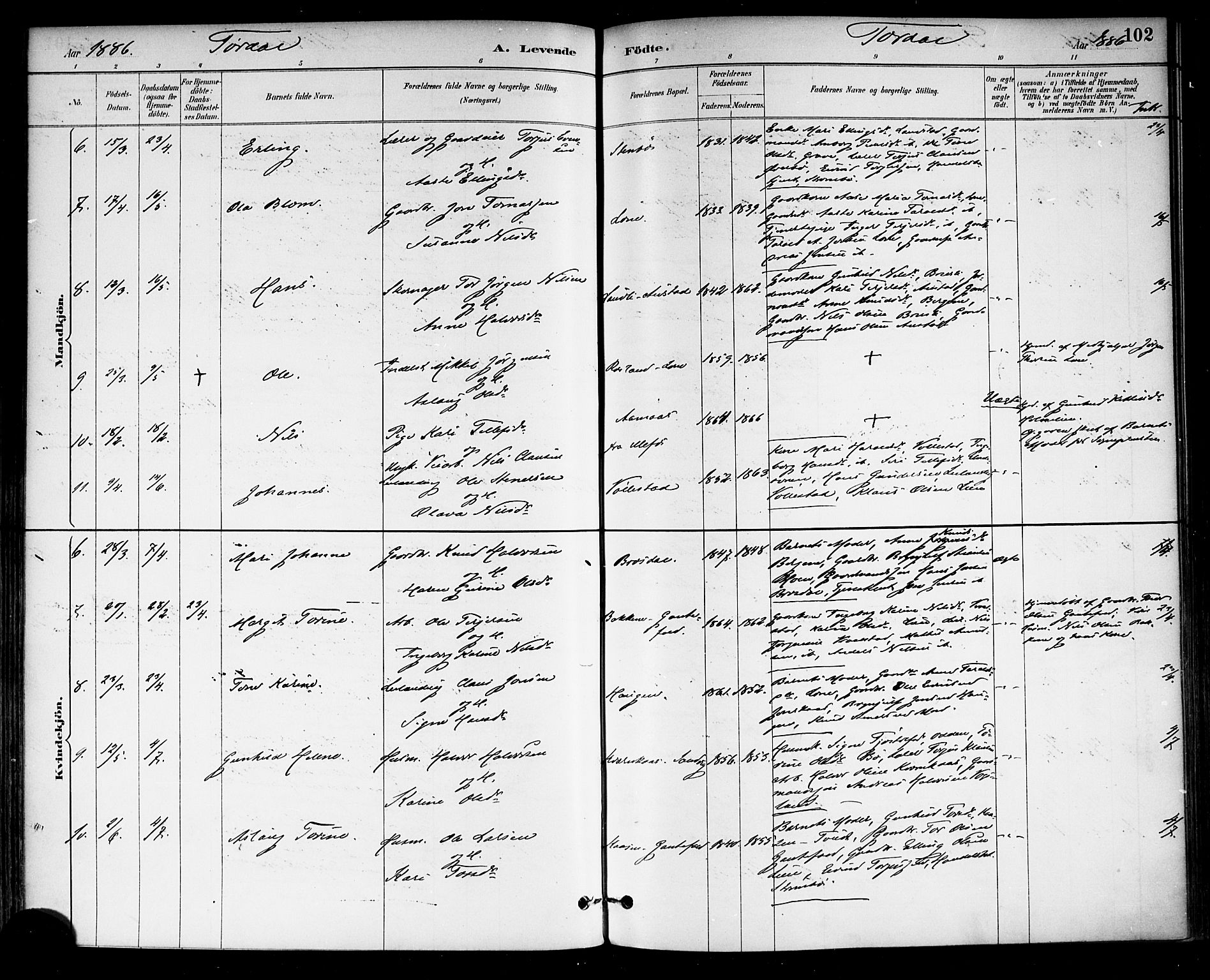Drangedal kirkebøker, SAKO/A-258/F/Fa/L0010: Parish register (official) no. 10 /2, 1885-1894, p. 102