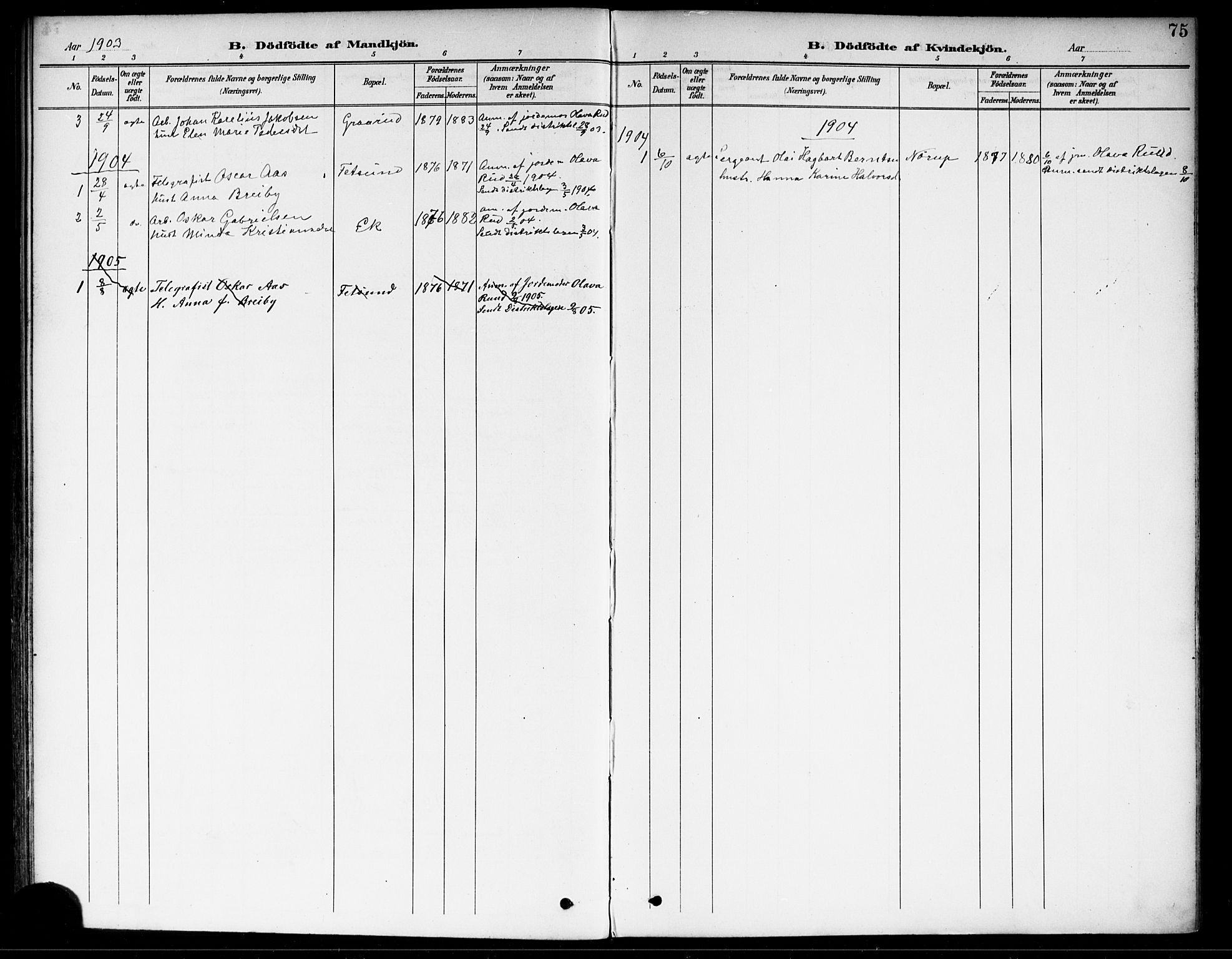 Fet prestekontor Kirkebøker, SAO/A-10370a/F/Fa/L0015: Parish register (official) no. I 15, 1892-1904, p. 75