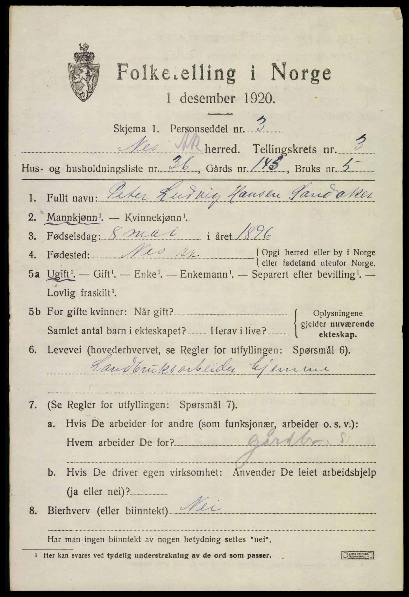 SAO, 1920 census for Nes, 1920, p. 6210