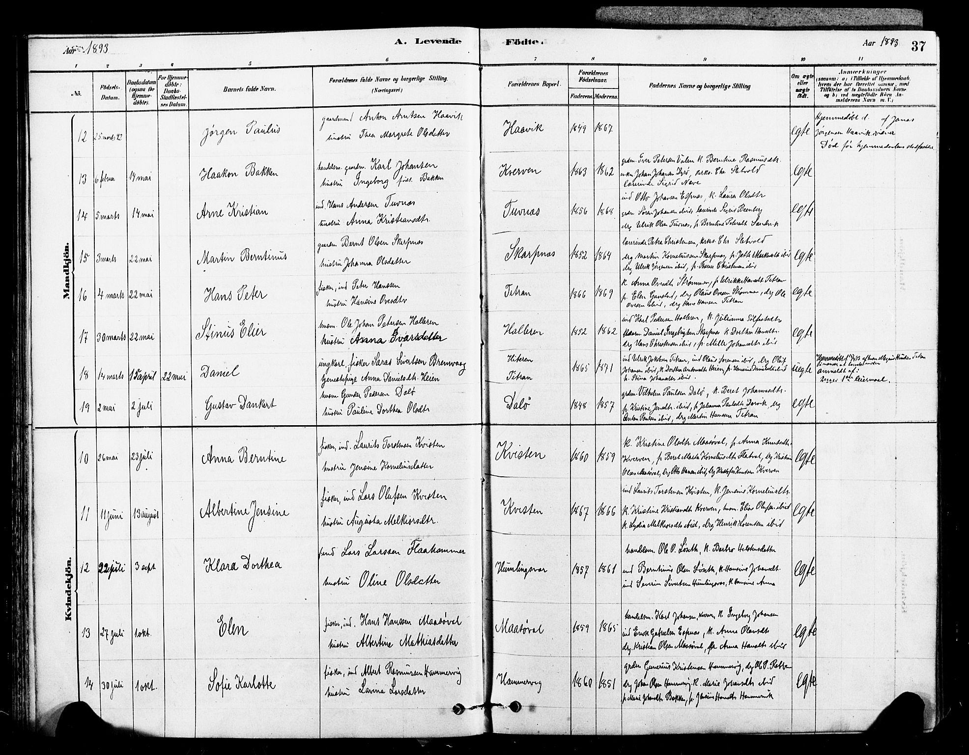 Ministerialprotokoller, klokkerbøker og fødselsregistre - Sør-Trøndelag, AV/SAT-A-1456/641/L0595: Parish register (official) no. 641A01, 1882-1897, p. 37