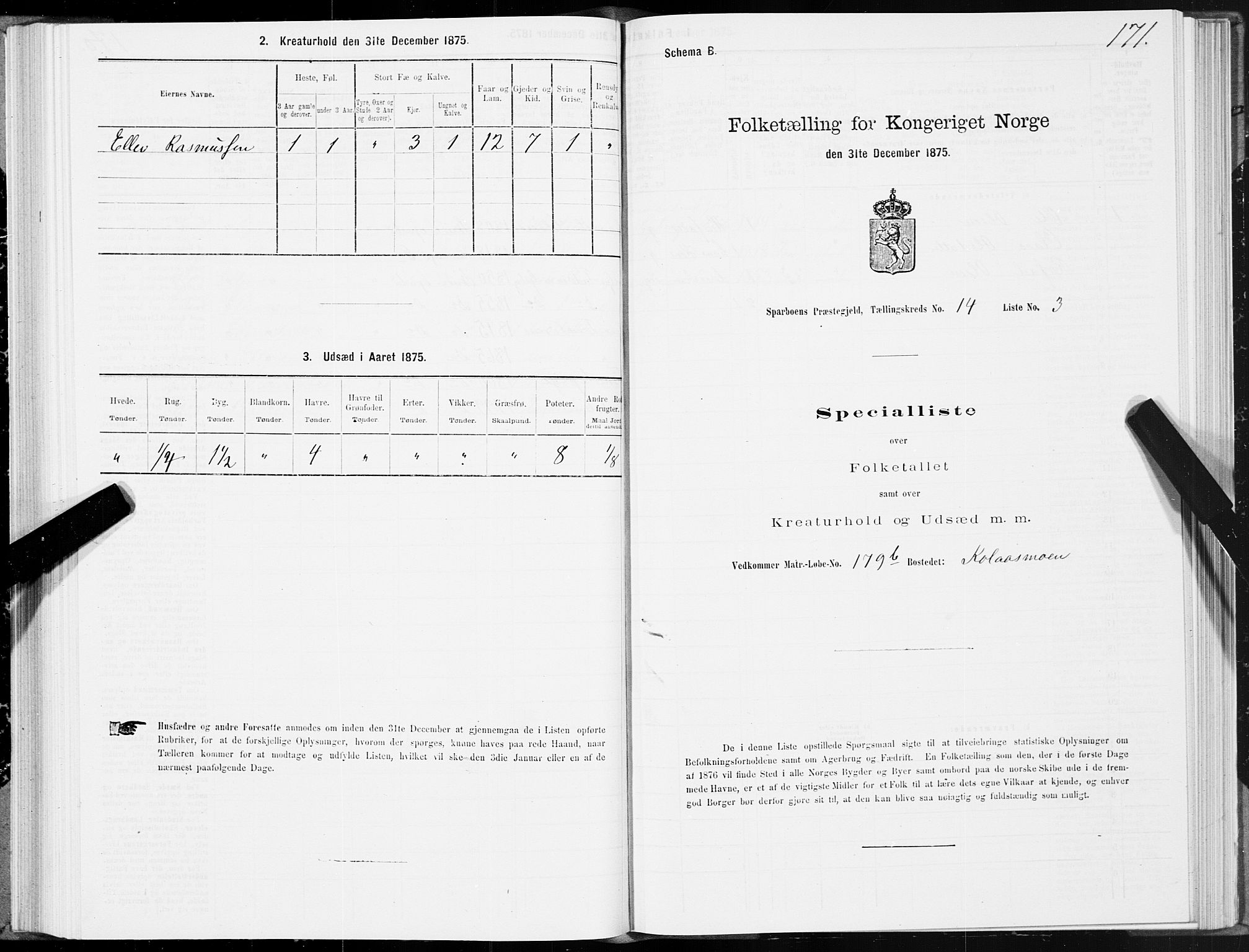 SAT, 1875 census for 1731P Sparbu, 1875, p. 5171