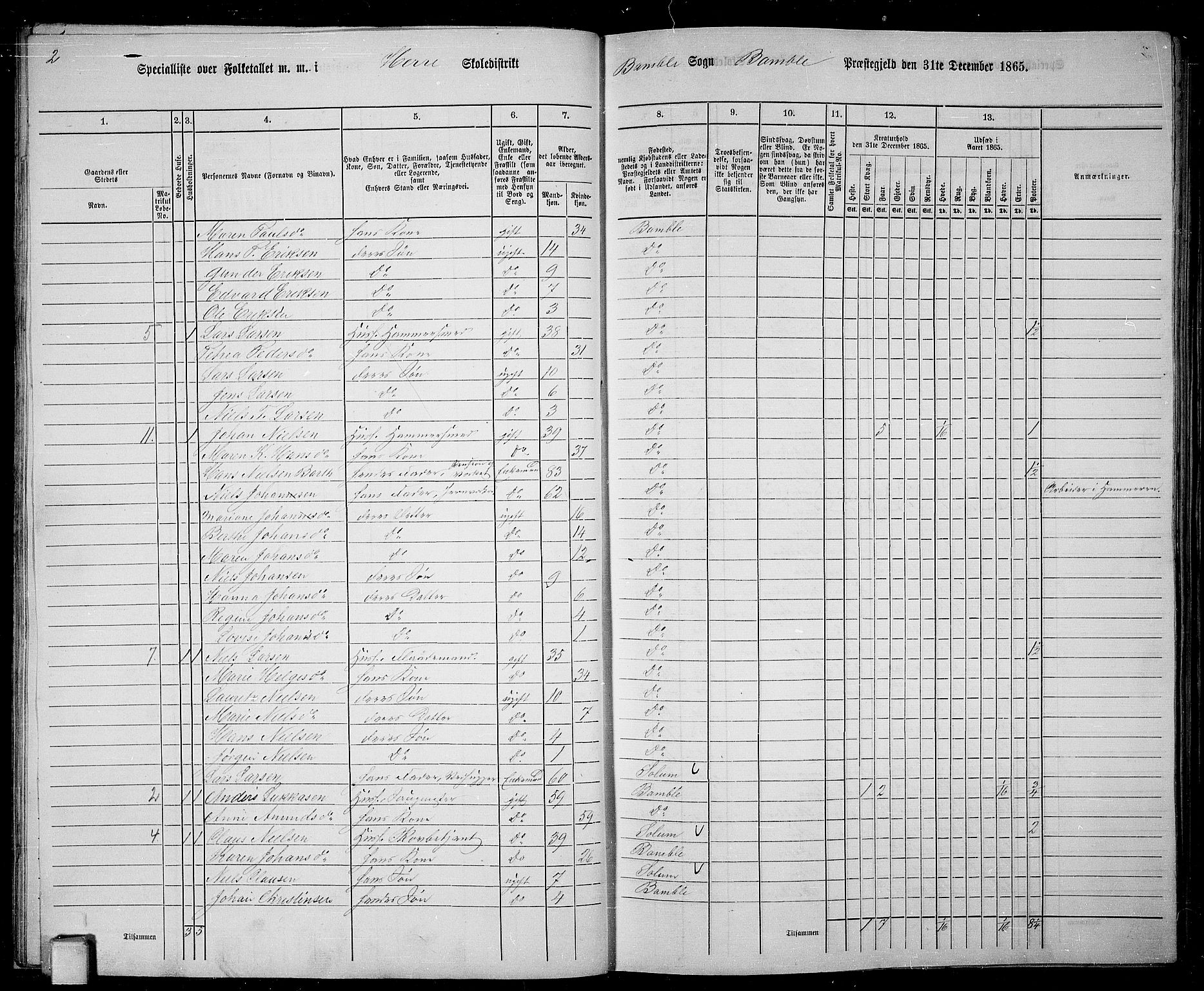 RA, 1865 census for Bamble, 1865, p. 28