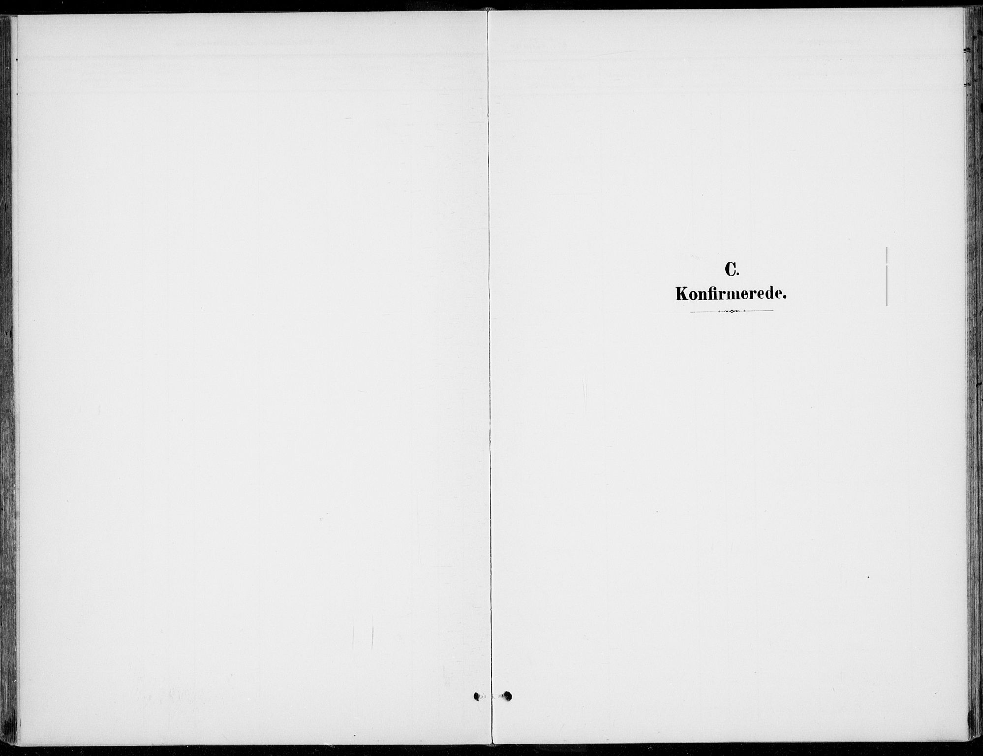 Rendalen prestekontor, SAH/PREST-054/H/Ha/Haa/L0011: Parish register (official) no. 11, 1901-1925