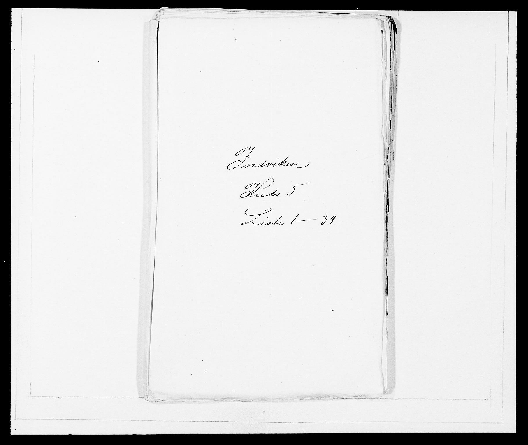 SAB, 1875 Census for 1447P Innvik, 1875, p. 533