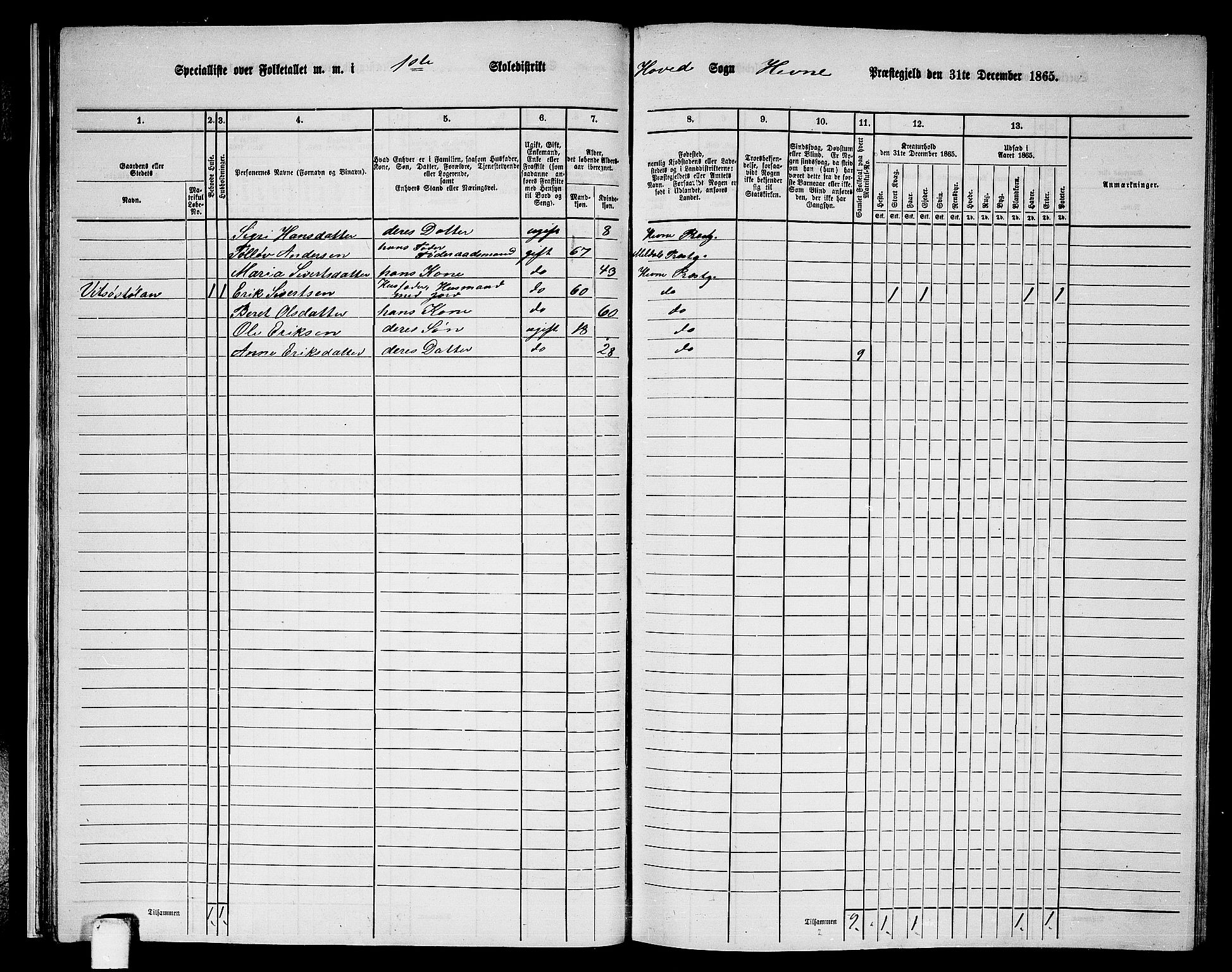 RA, 1865 census for Hemne, 1865, p. 32