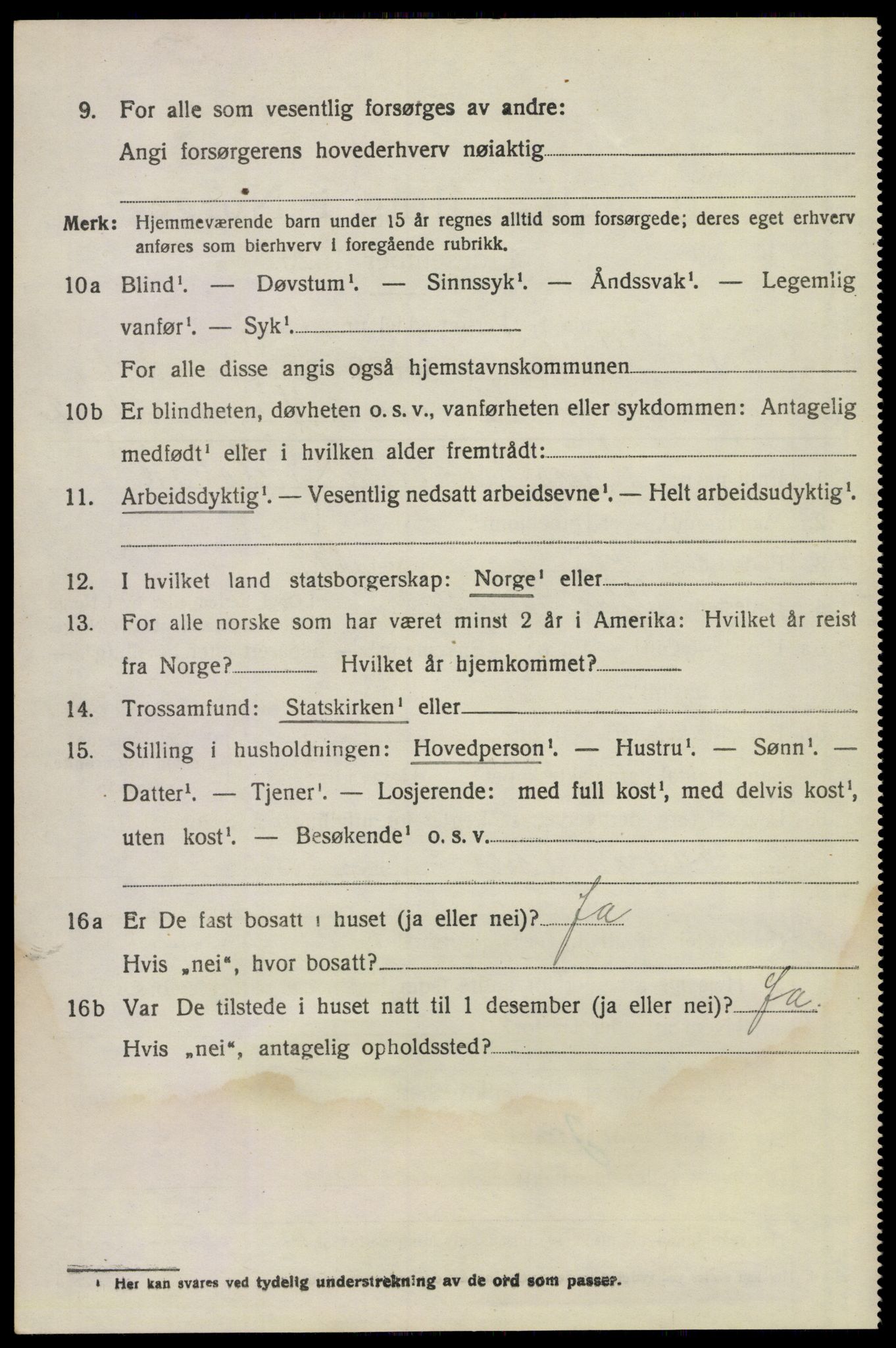 SAKO, 1920 census for Våle, 1920, p. 1265
